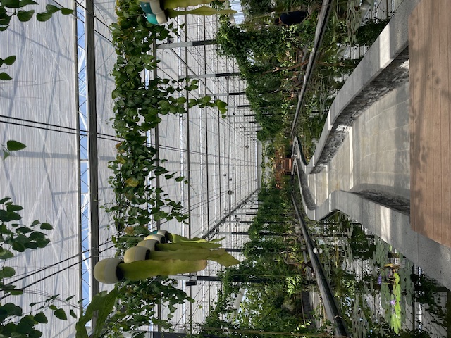 봄봄함평 이벤트