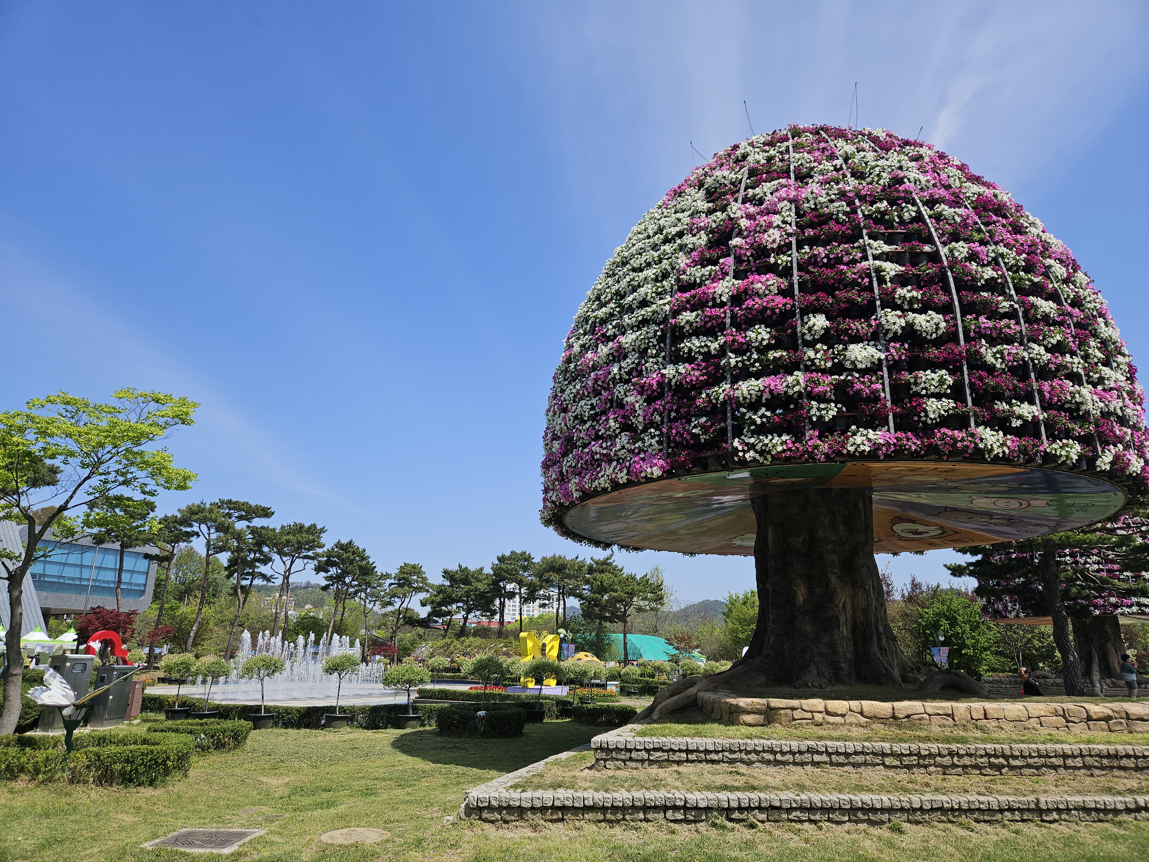 함평 나비대축제 다녀왔어요