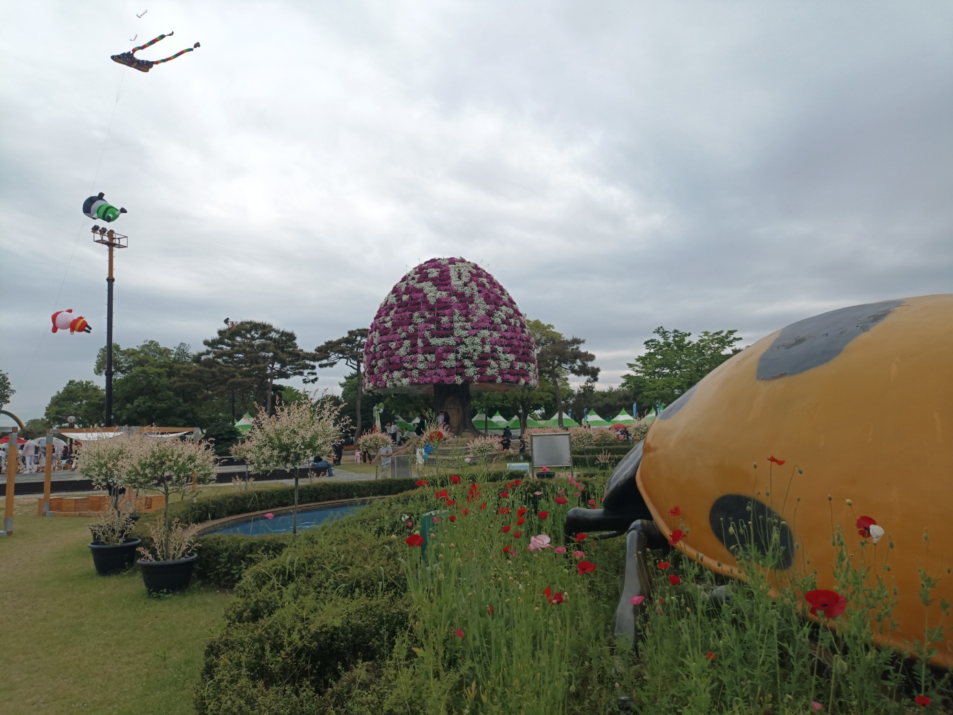 함평에 찾아온 봄 나비축제에서 마음껏 응원합니다