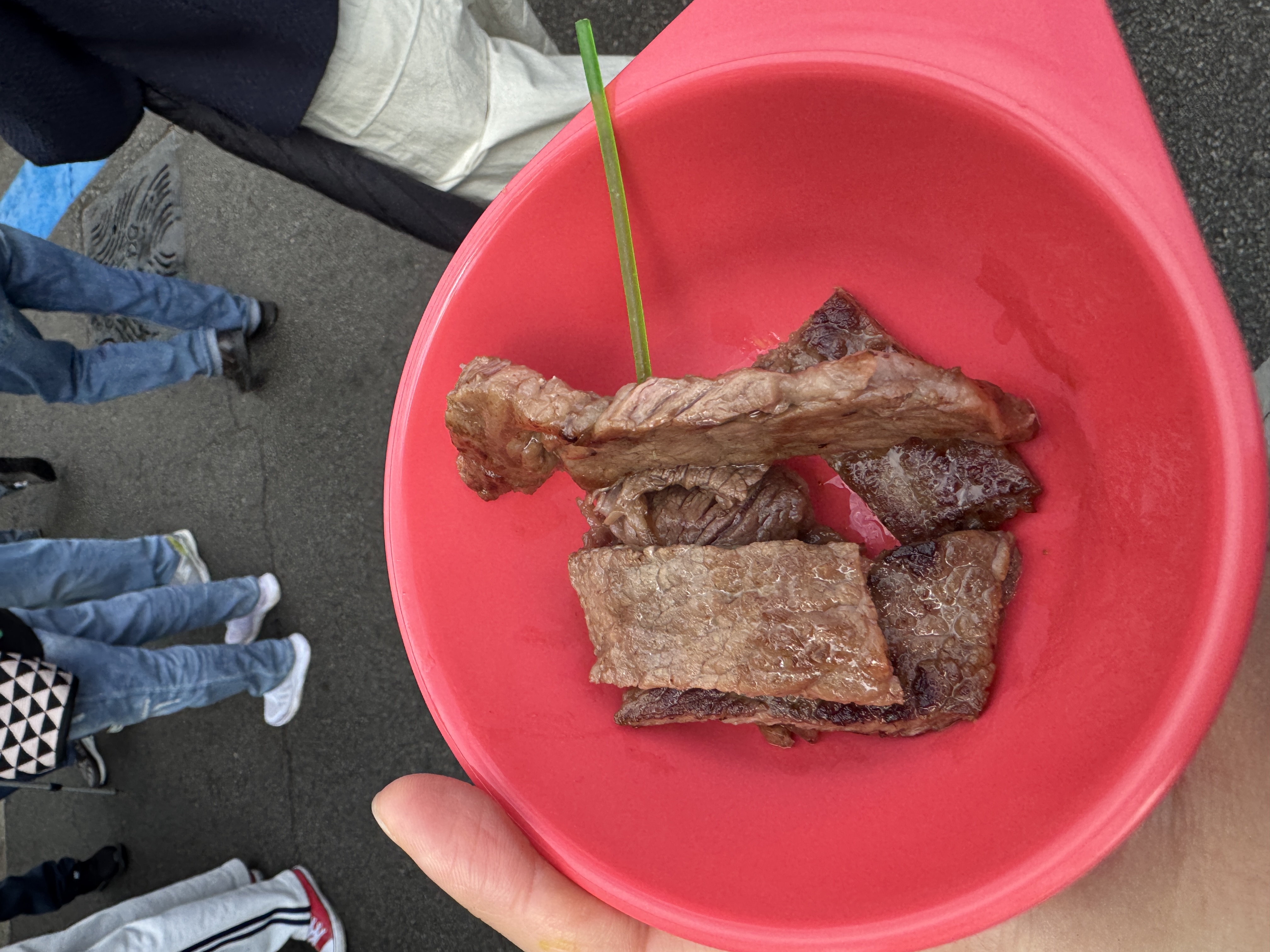 Welcome to Hampyeong butterfly festival 2025