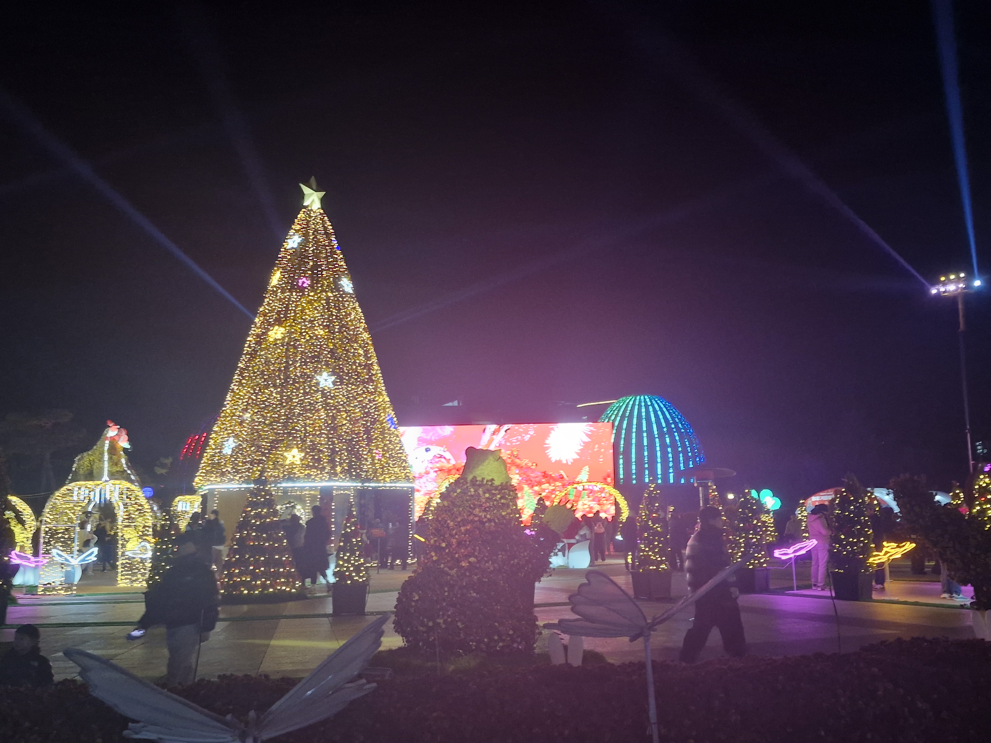 함평겨울빛축제