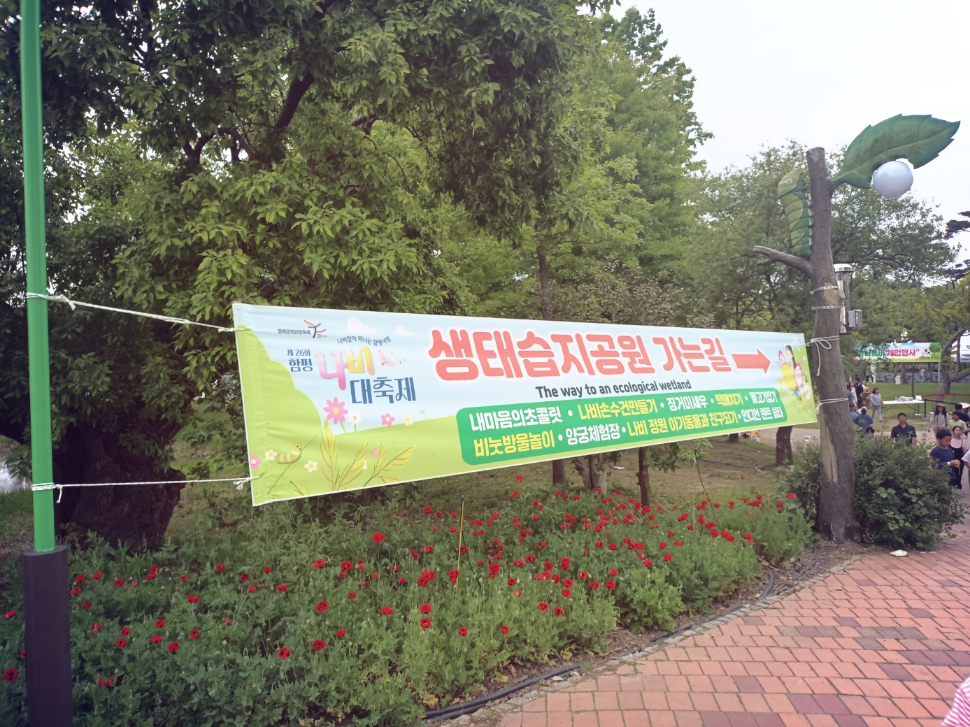 함평의 나비축제에도 봄이한가득