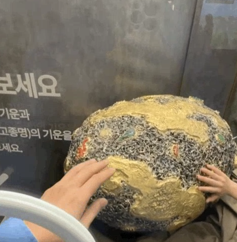 2025년 함평나비축제 황금박쥐!!