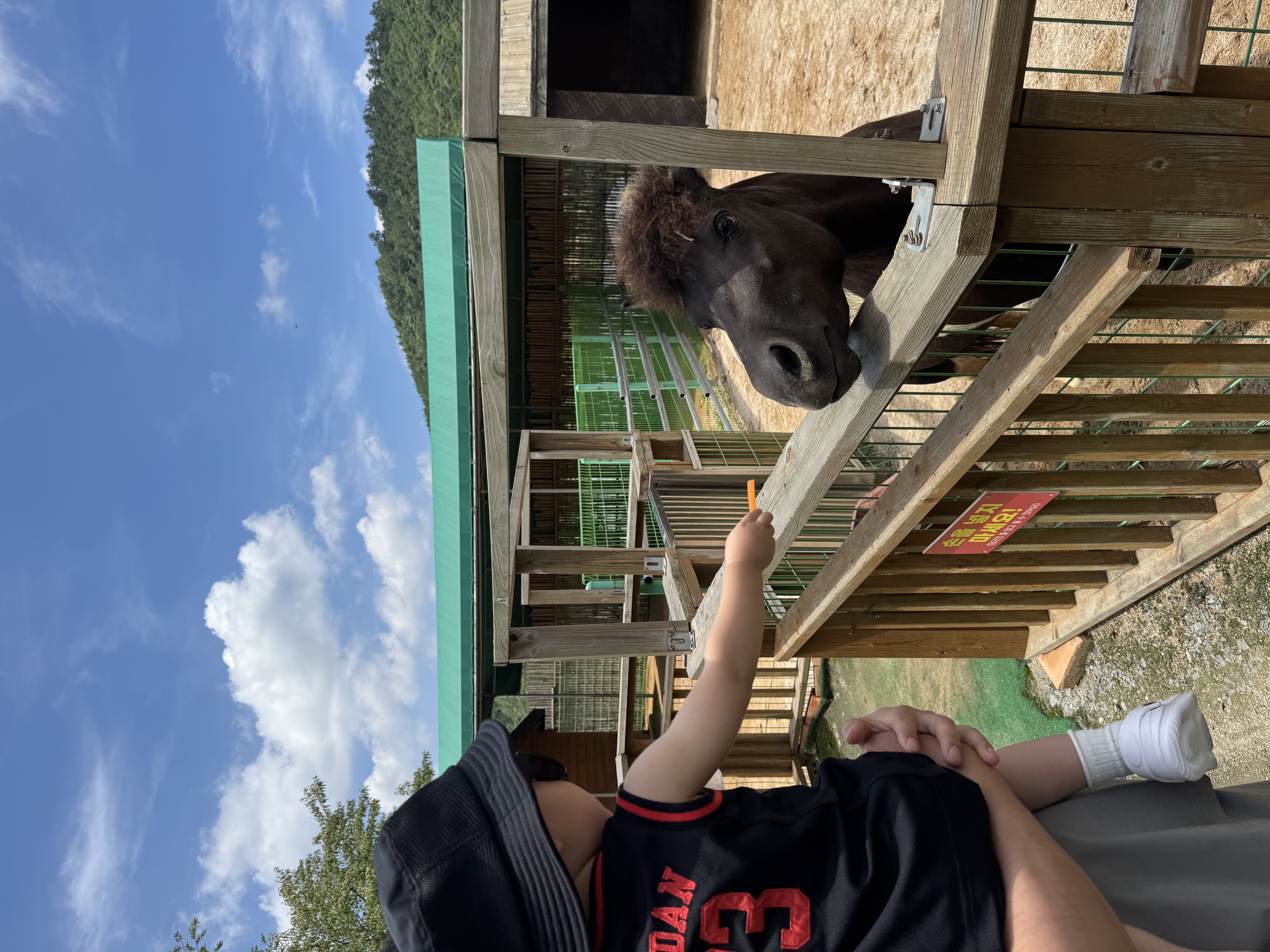 무더위 속 함평에서의 즐거운 시간🩵