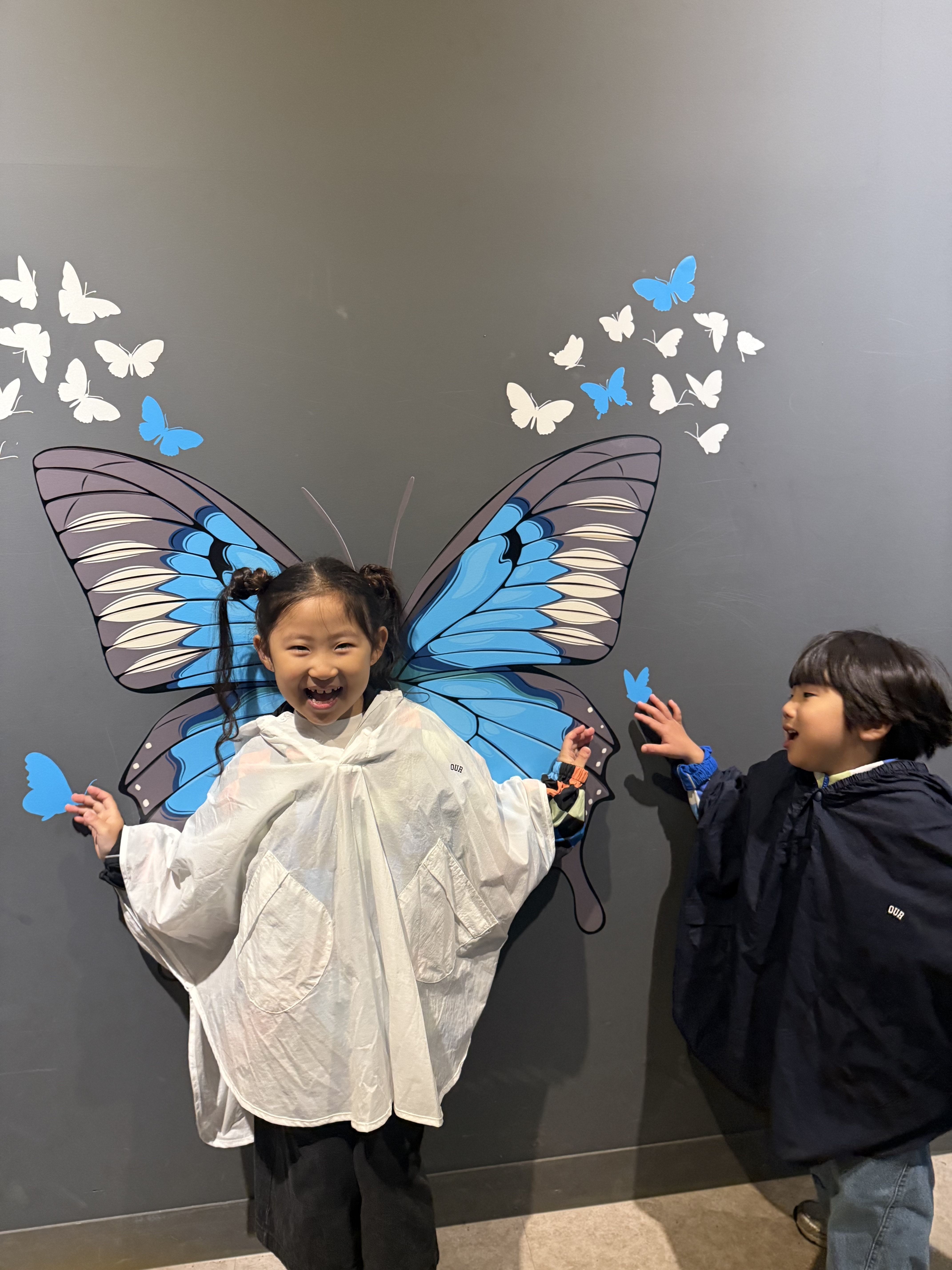 나비 하면 함평이 생각나는 건 전남도민 아니 전국민의 생각이겠죠!!