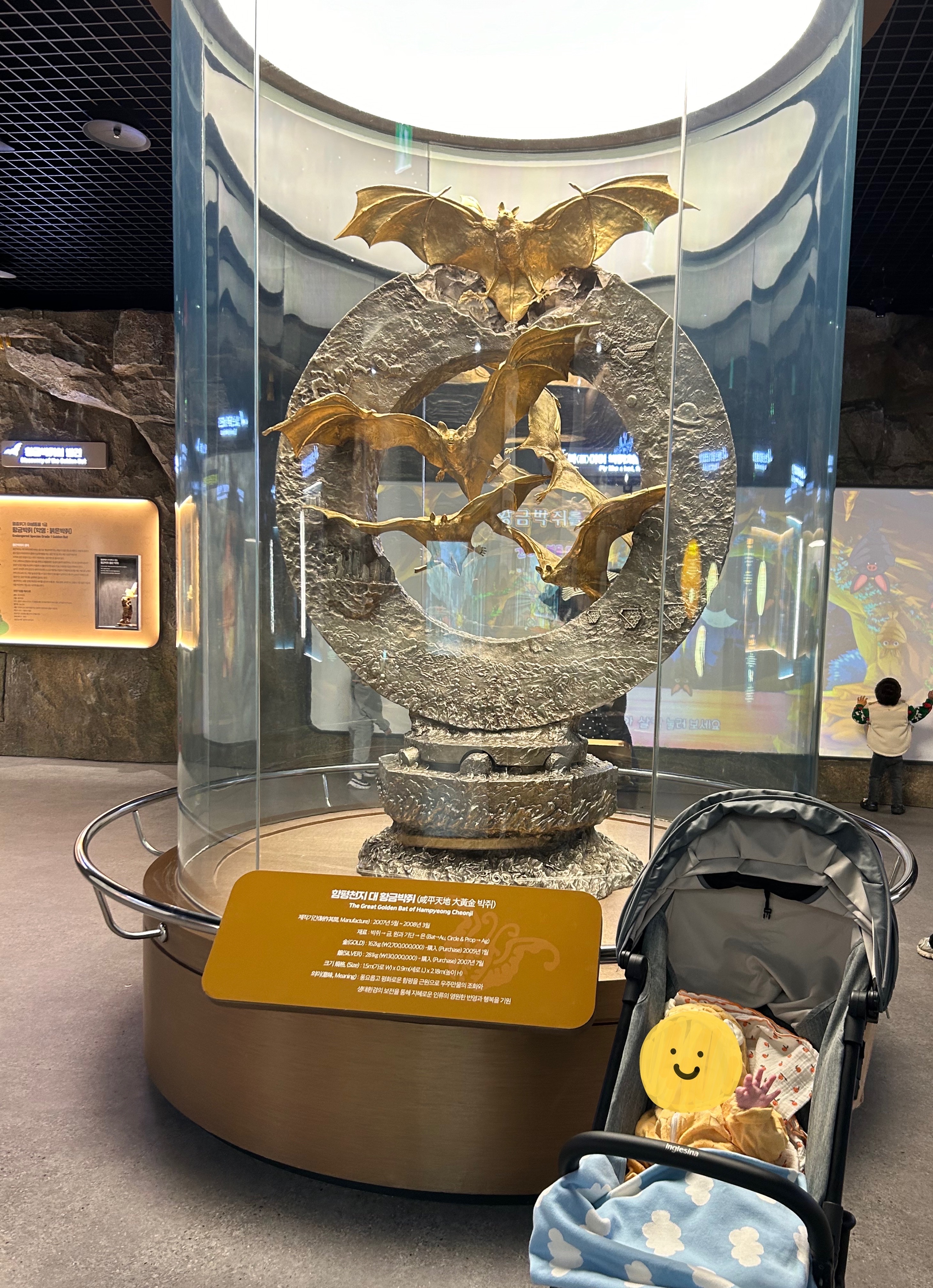 겨울밤을 수놓은 함평 빛축제!