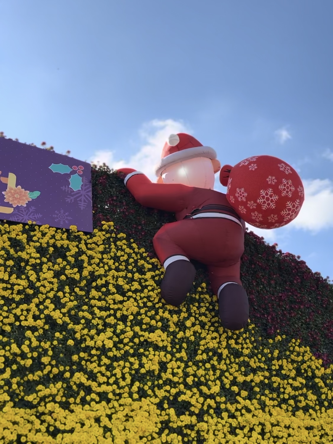 함평나들이(국향대전과 황금빛 노을)