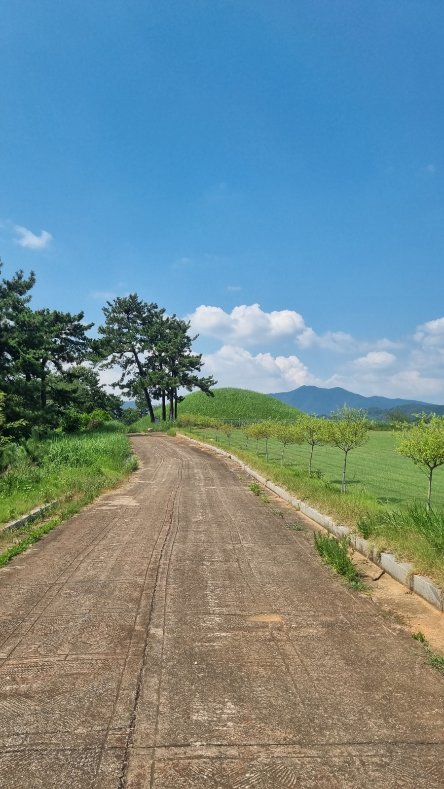 함평 용월리 지석묘군 팔열부정각 예덕리 고분군