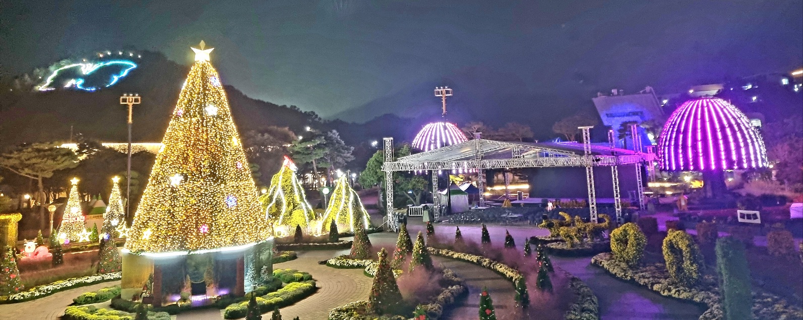 함평 겨울빛축제