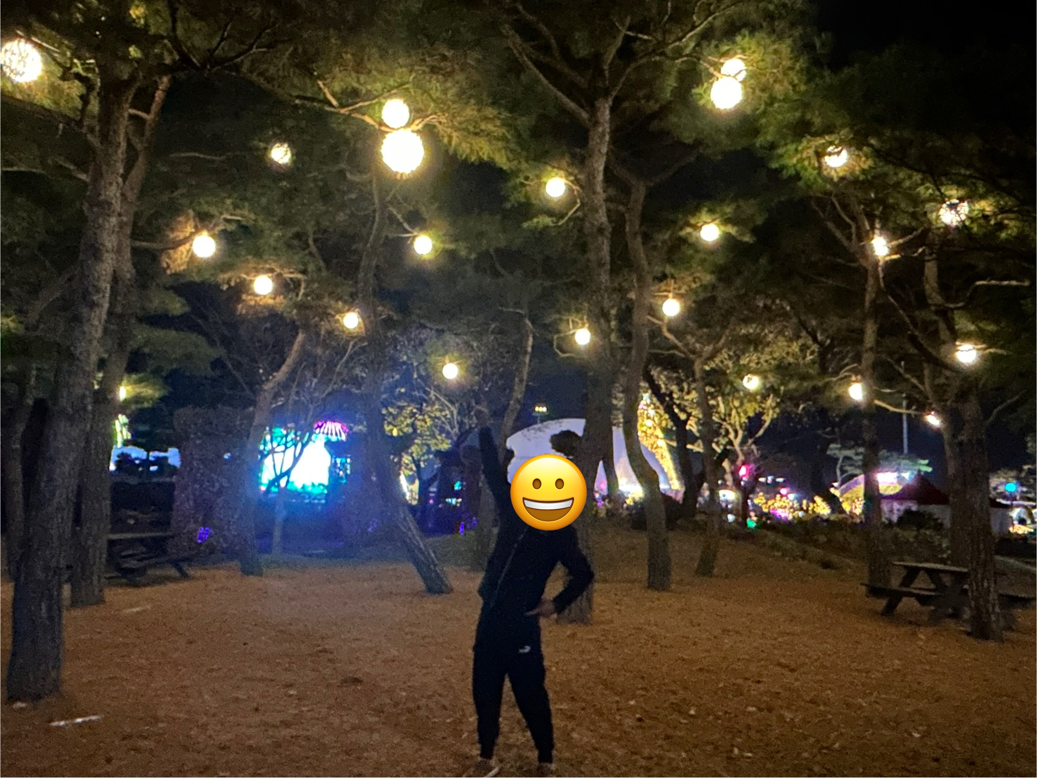 함평 빛축제 방문 후기