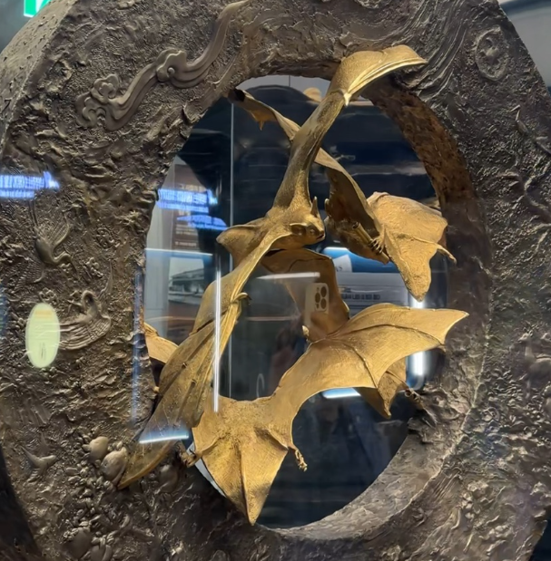 2025년 함평나비축제 황금박쥐!!