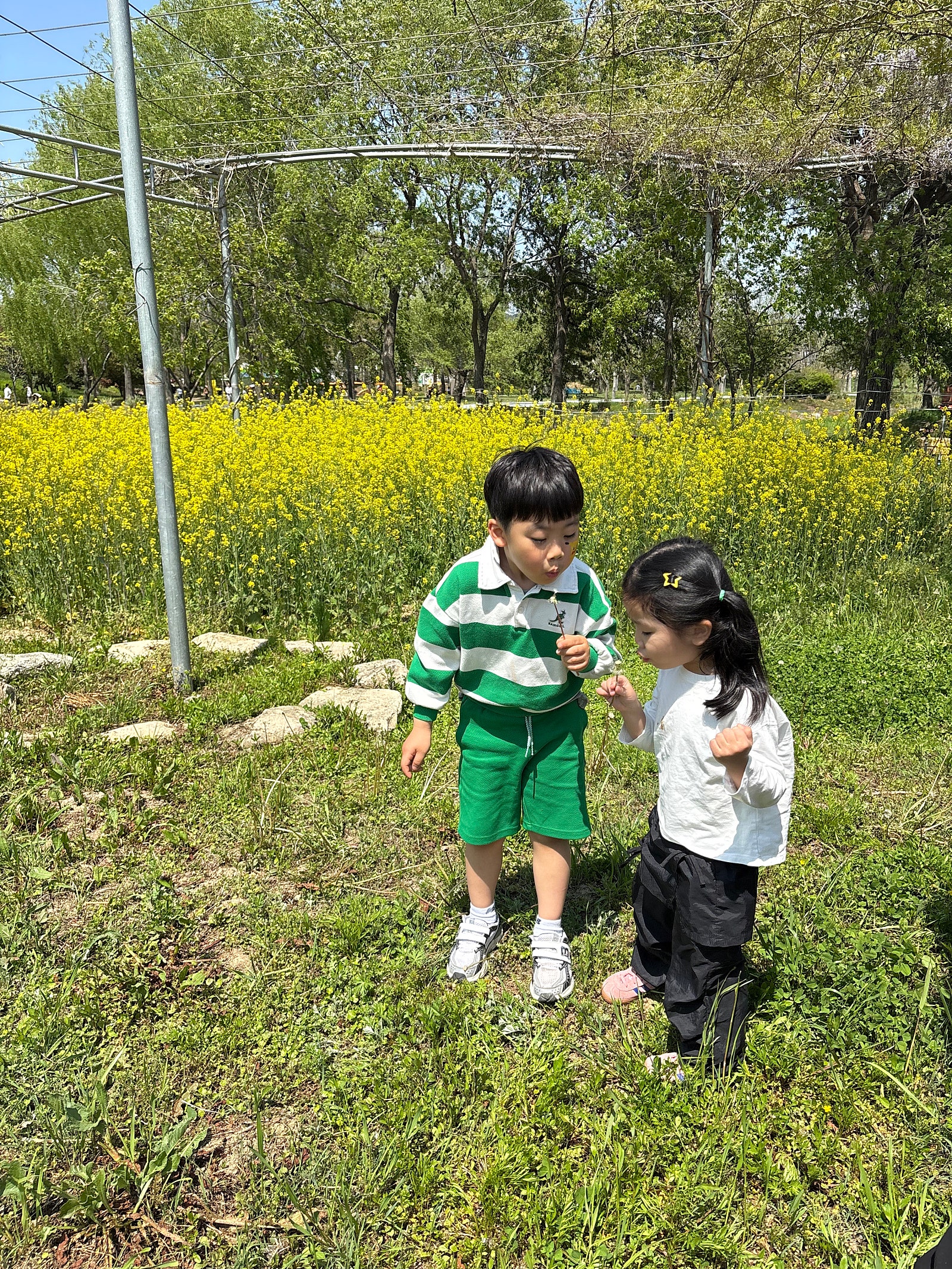 월컴 투 함평... 처음으로 나비 대축제를 다녀왔어요!