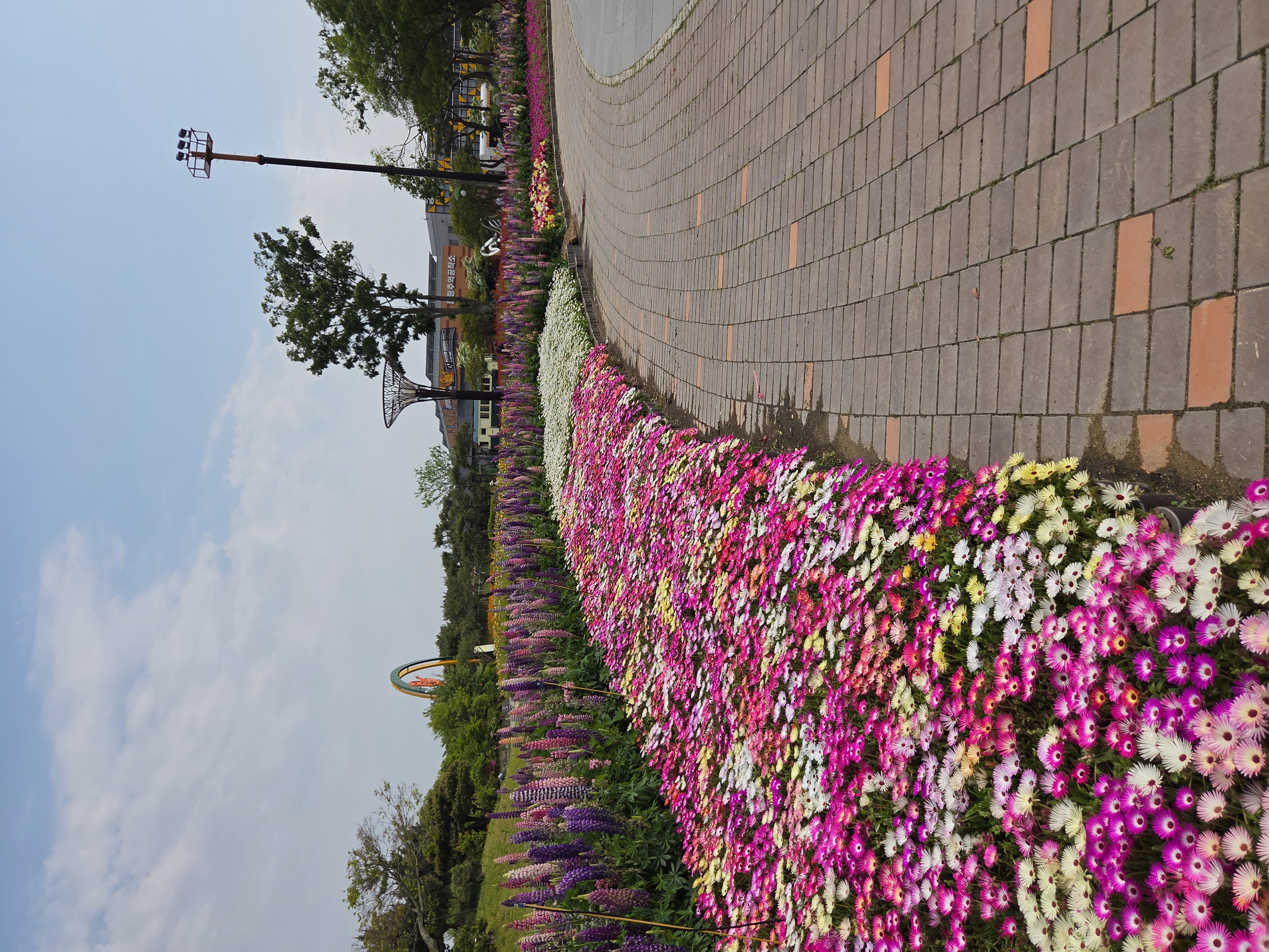 지나는 길 곳곳이 꽃길로 너무 싱그럽고 화사한 봄날 그 자체였습니다. 어디든 행복으로 이끌것 같은 기분이었어요.