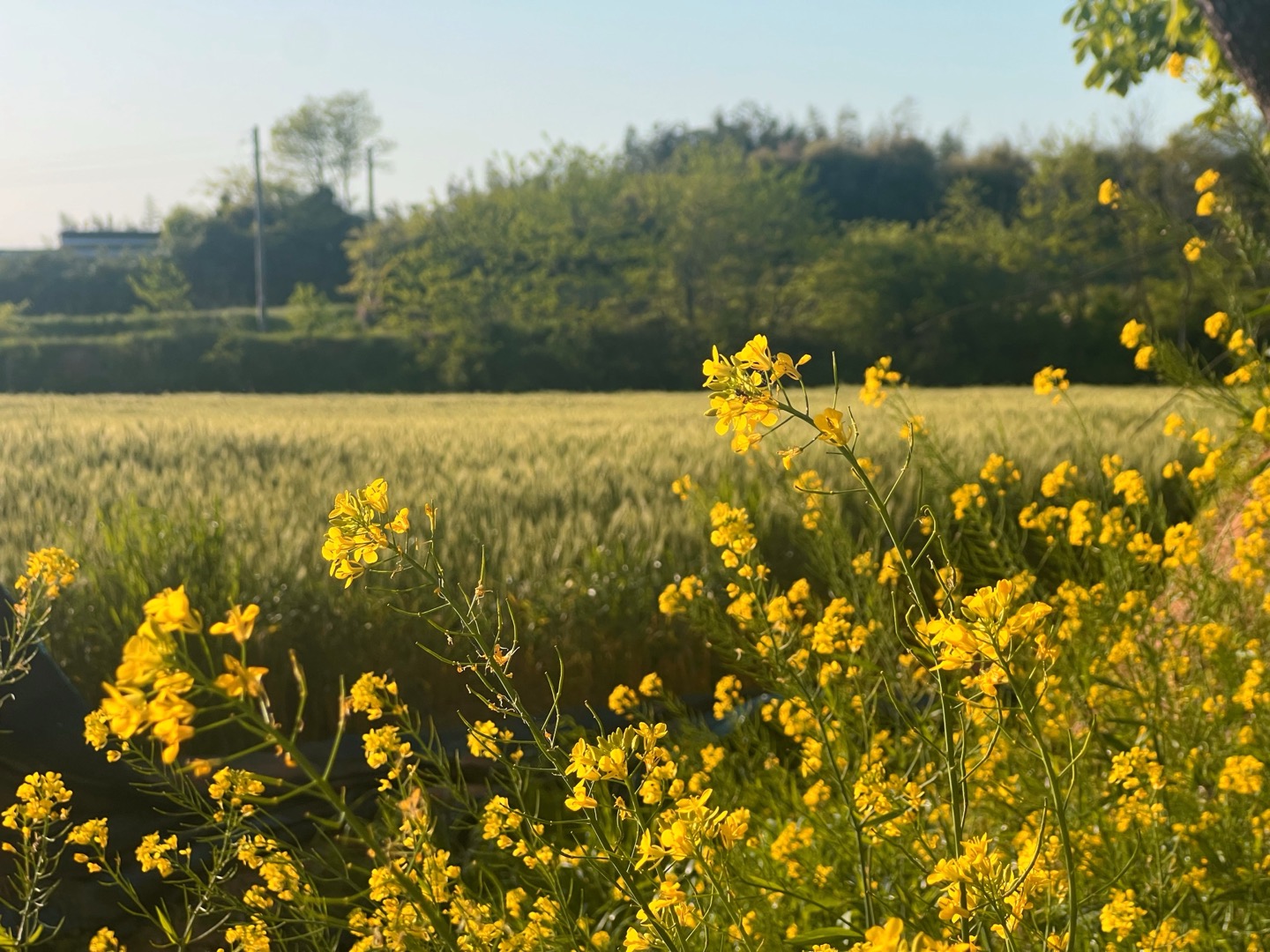 주포한옥마을 가는 길