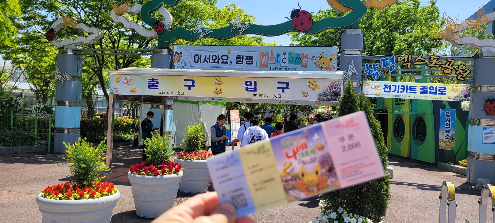 2025 함평나비축제에 가다