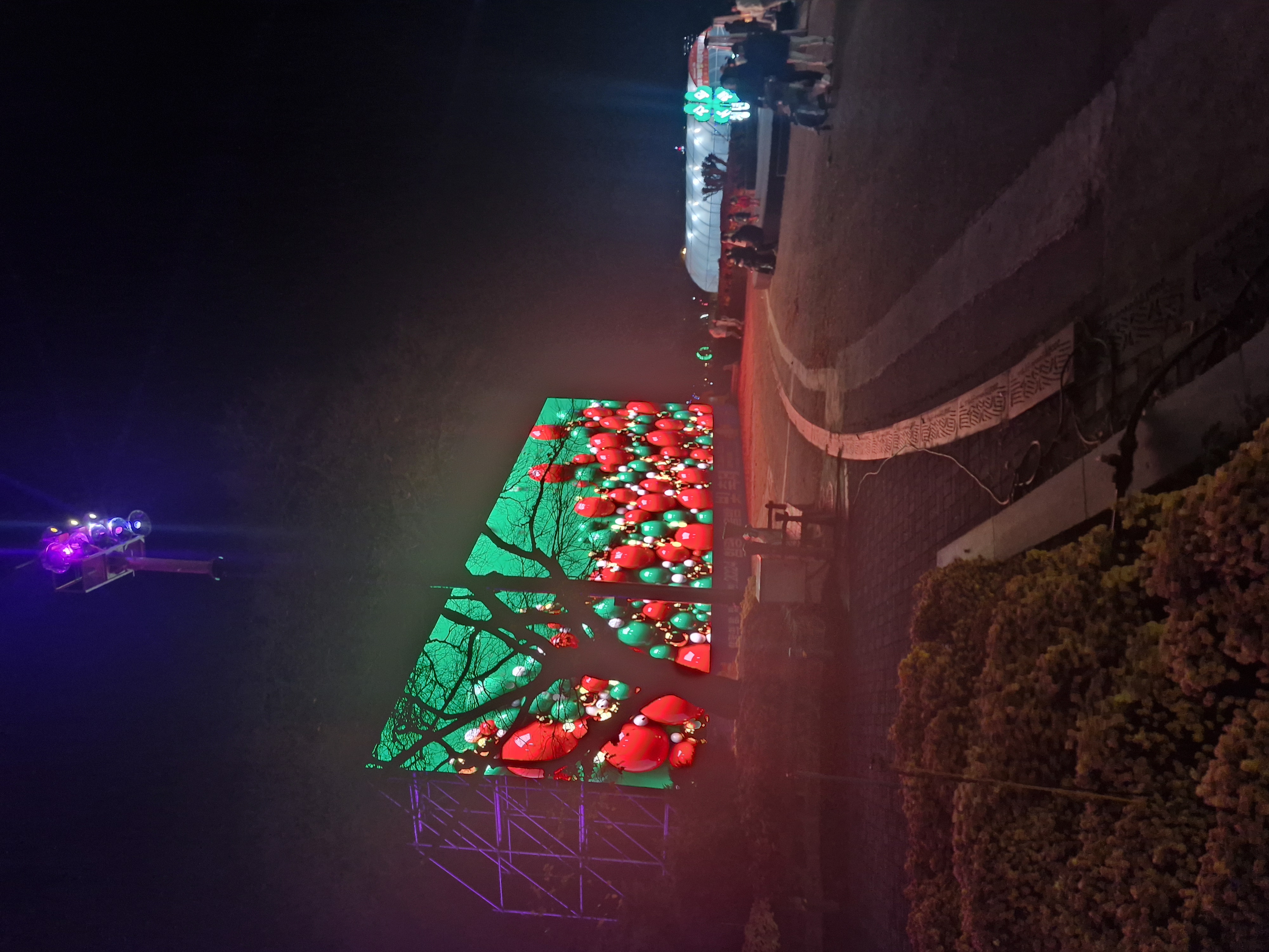 함평겨울빛축제