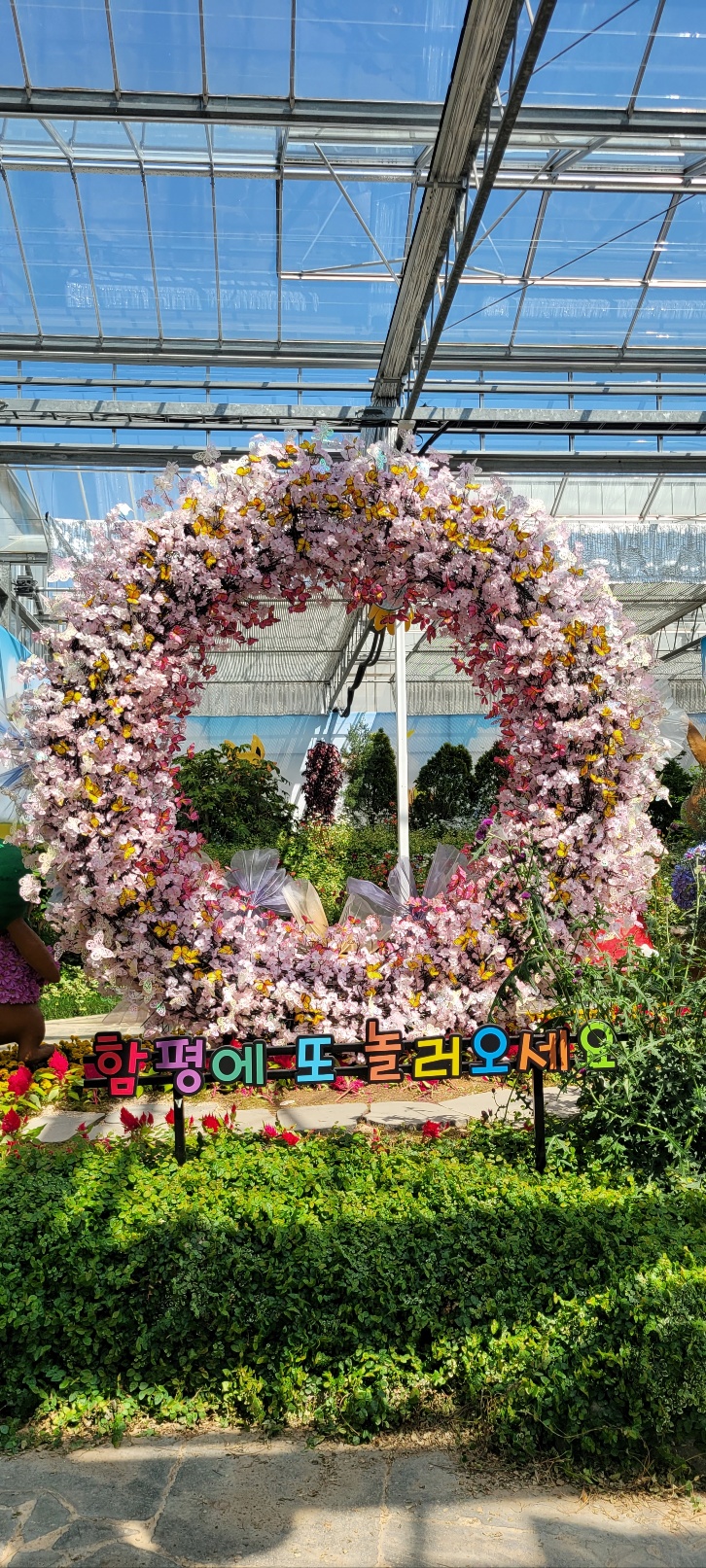 2025 함평나비축제에 가다