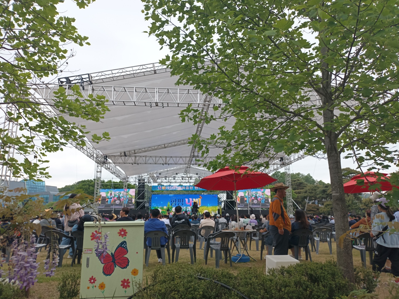 희망의 봄꽃 함평으로