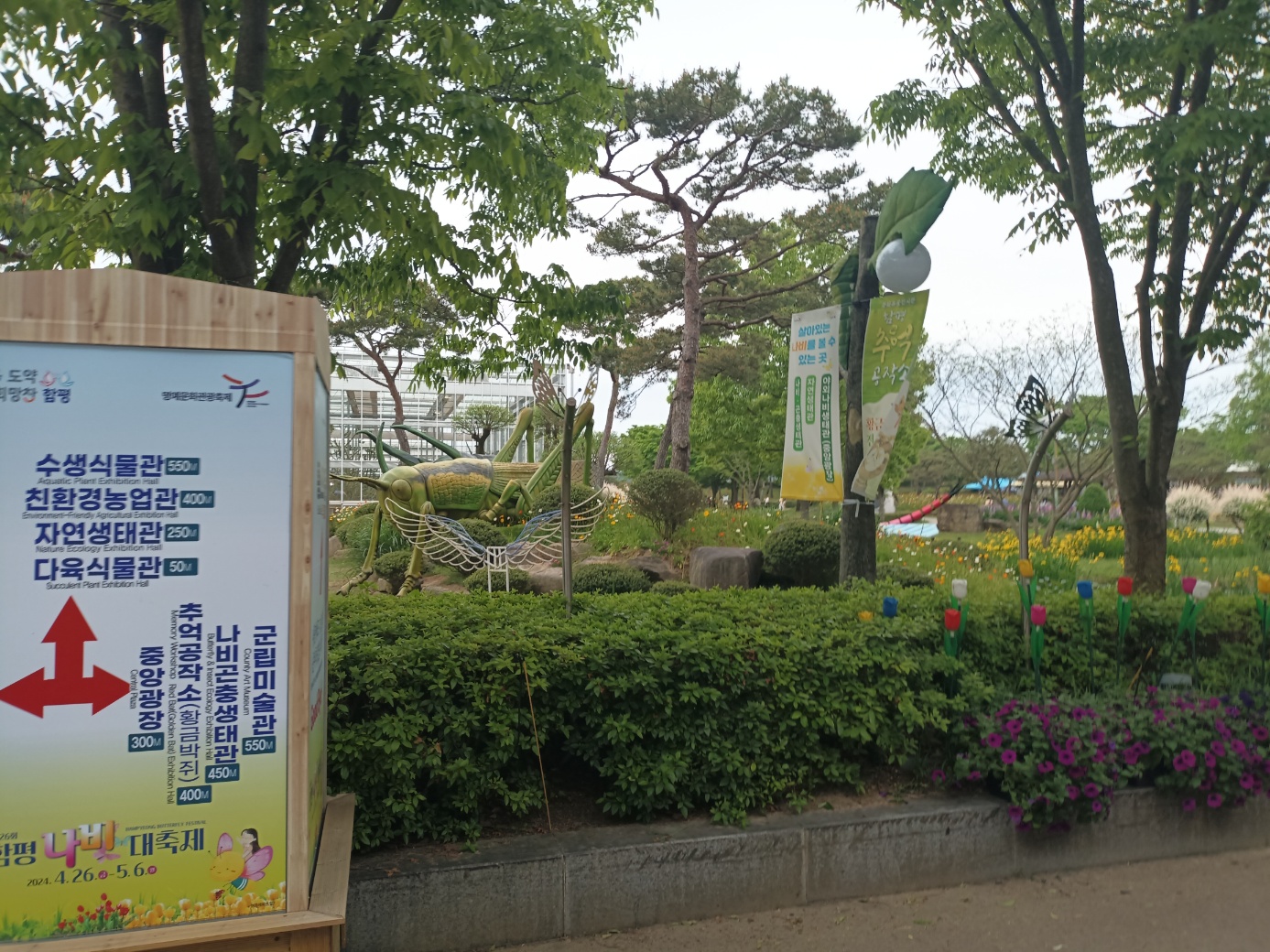 희망의 봄꽃 함평으로