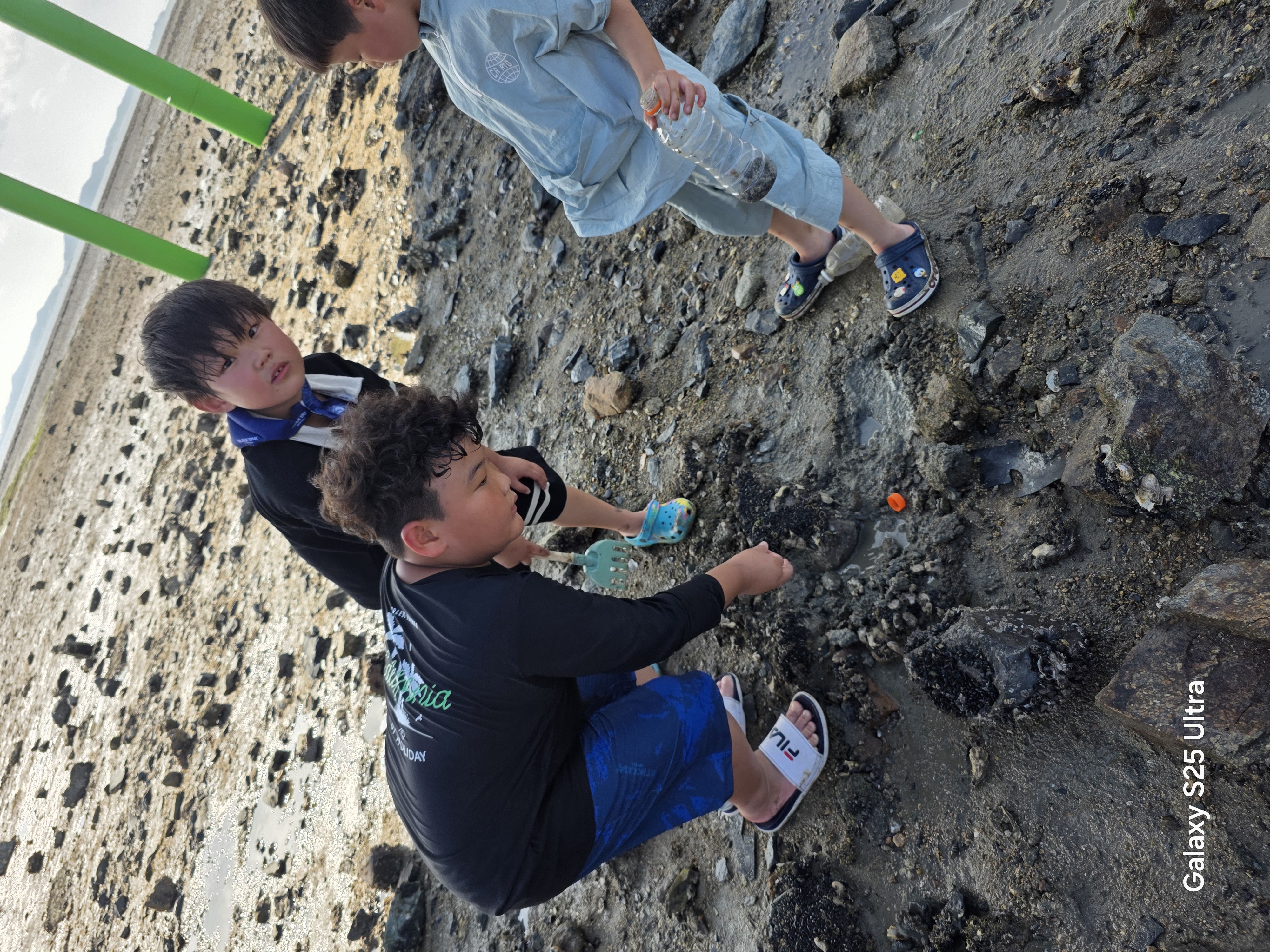 돌머리해수욕장에 왔더니<br>아이들이 보리새우,망둥어등 꽂개잡이를<br>하고있어서 곧 친하게 잘놀았다