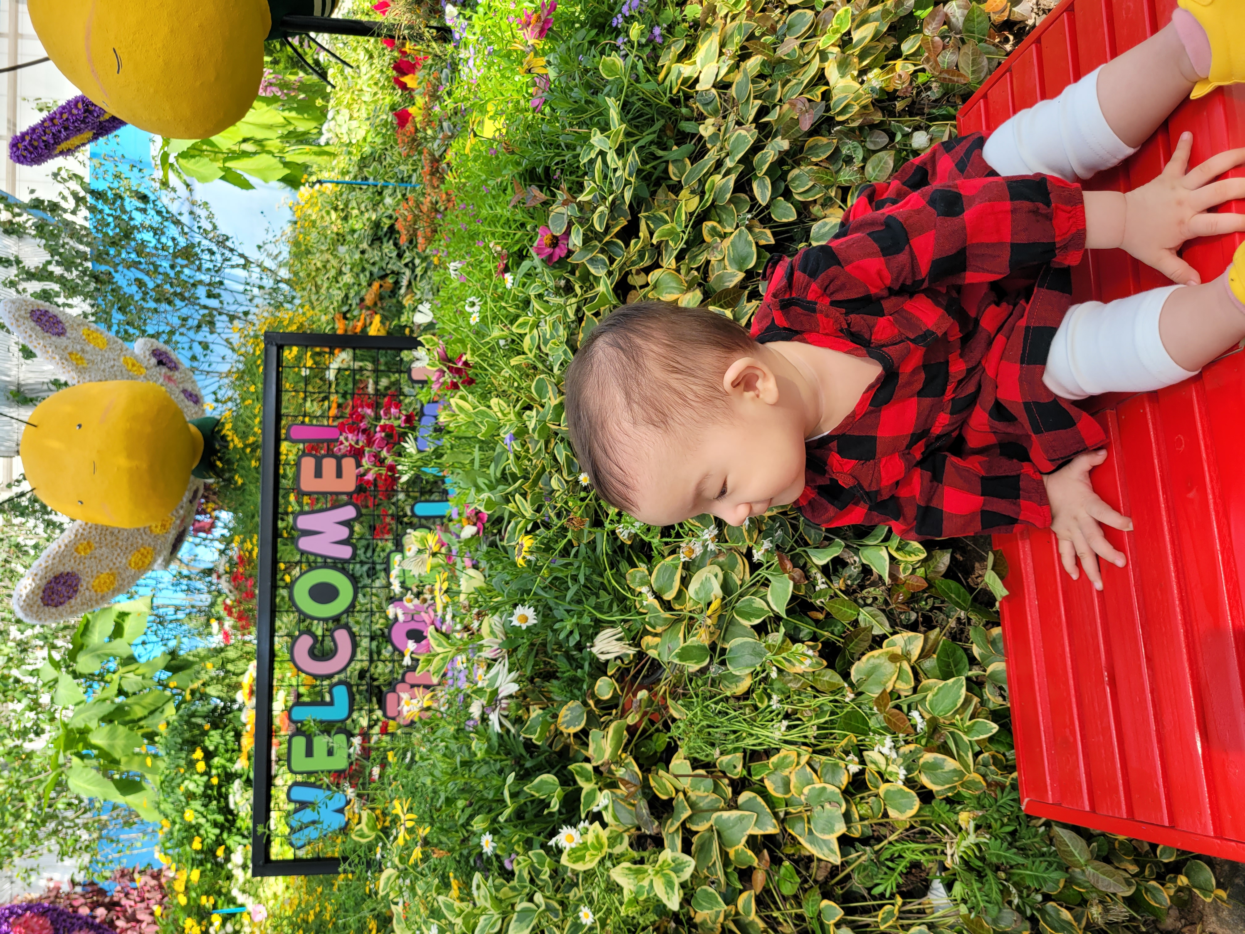 24 함평 나비 대축제 관람 후기