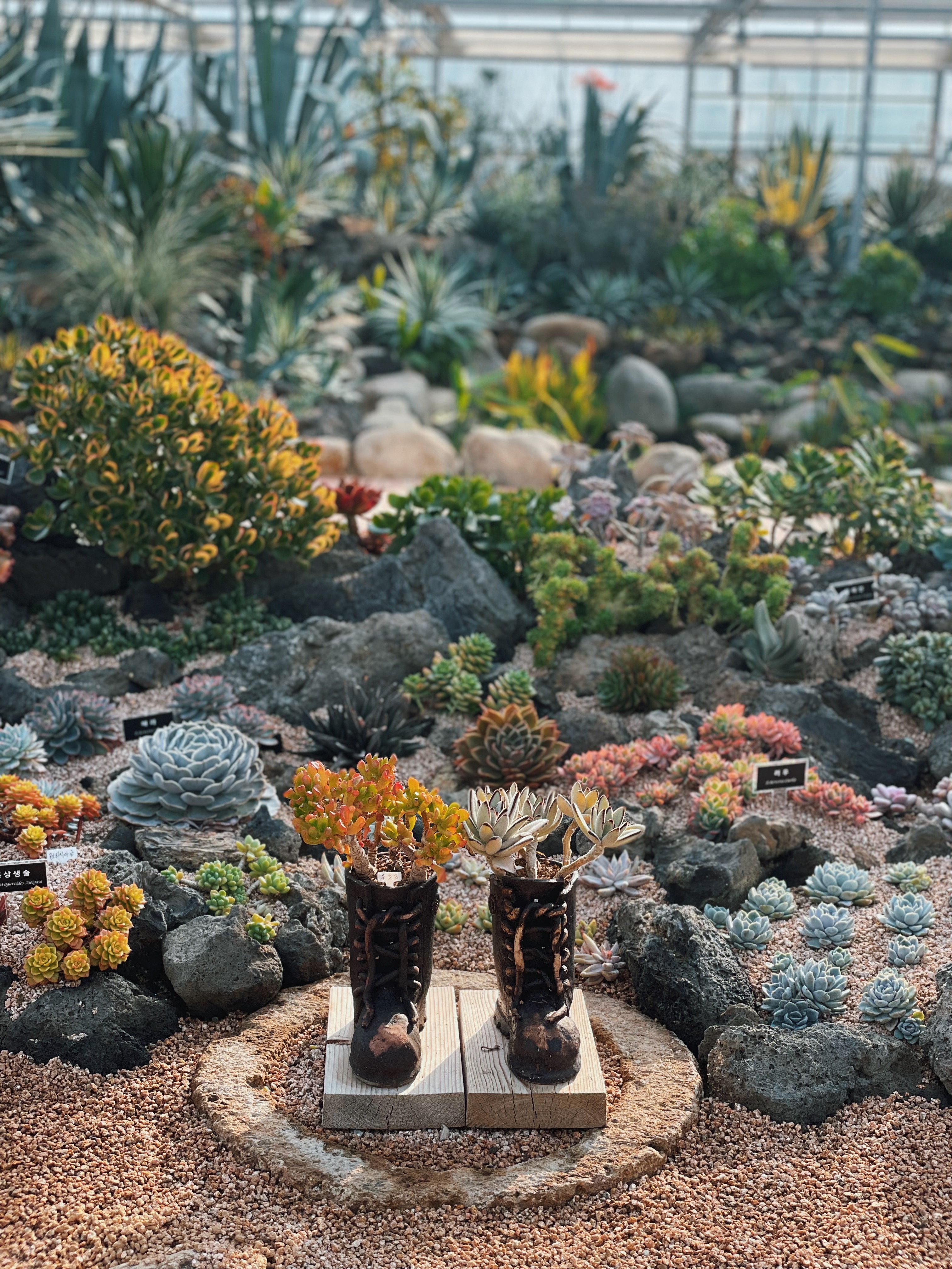 엑스포공원 다육식물관