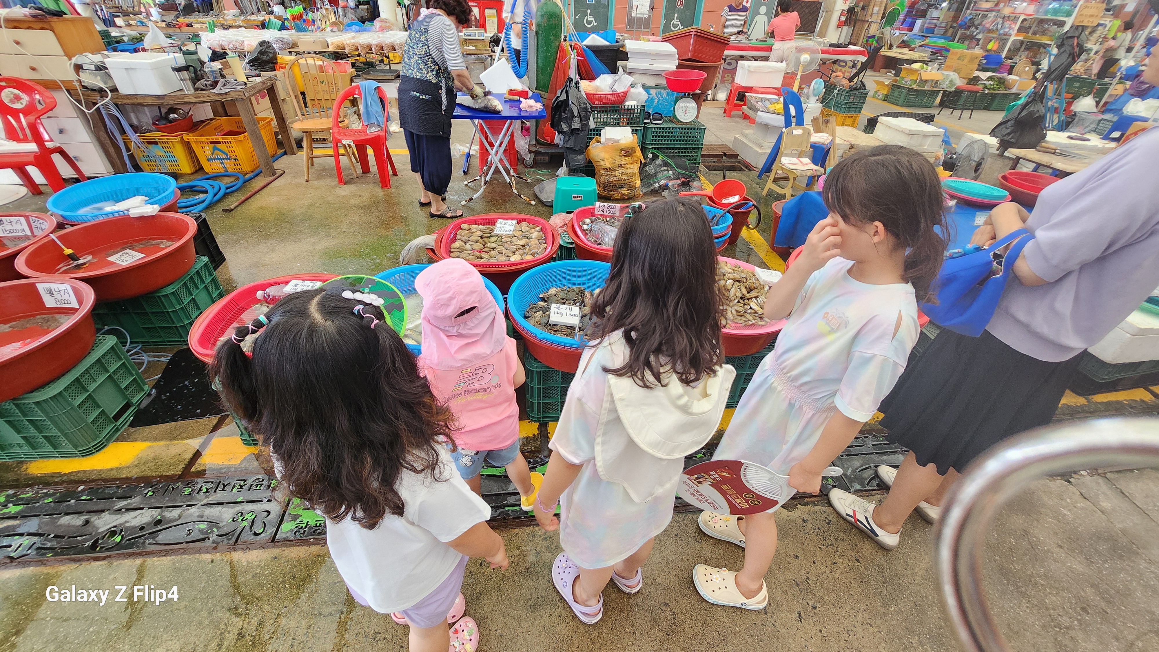 함평전통시장오일장