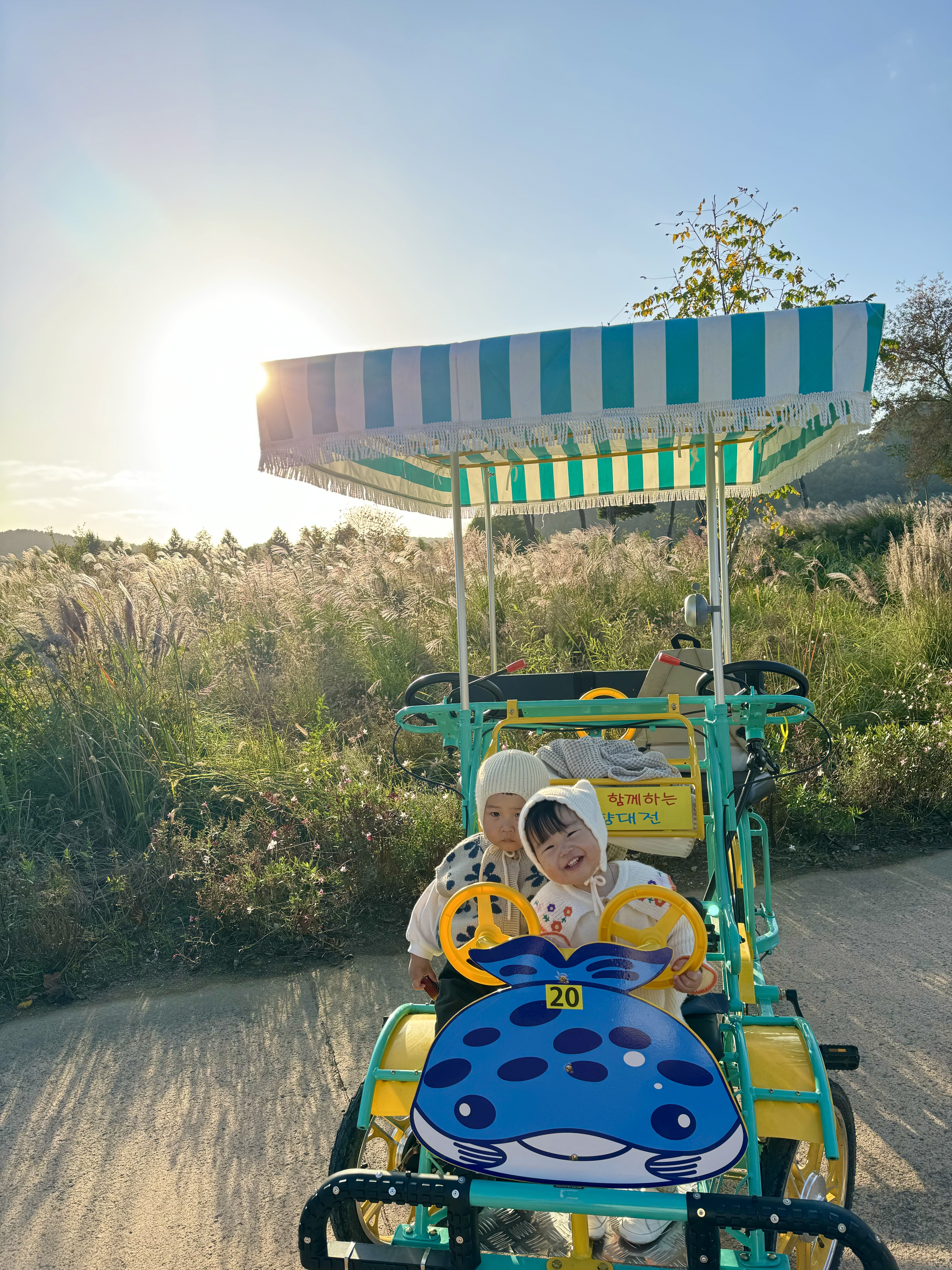 노을 속 아가들과 자전거를 타며 함평을 가을을 온몸으로 느낄 수 있었어요!
