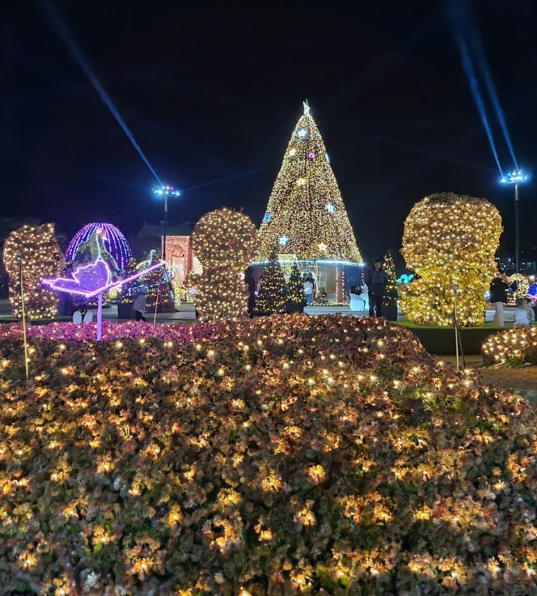 가족과 함께 즐기기좋은 겨울밤빛축제