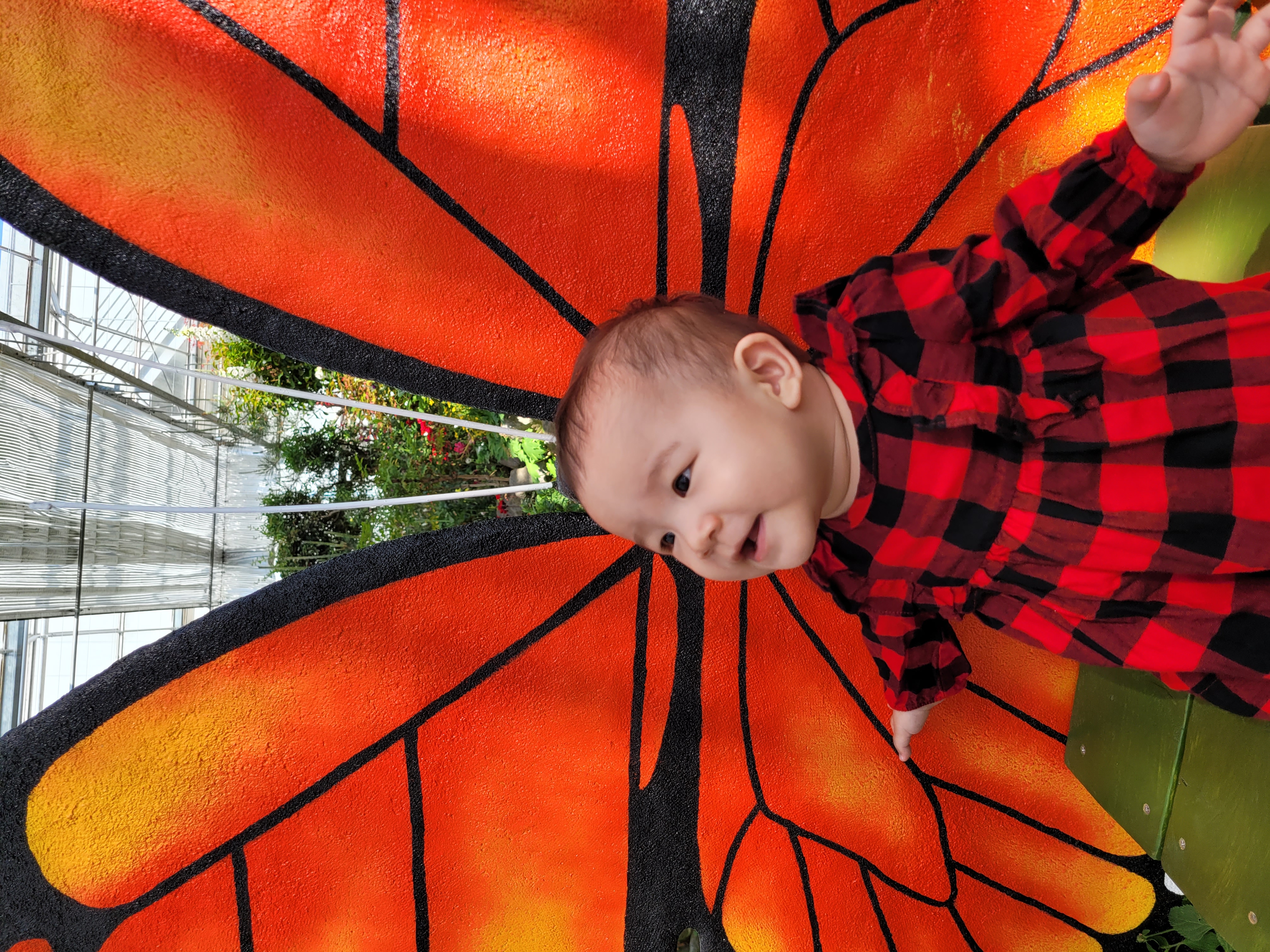 24 함평 나비 대축제 관람 후기