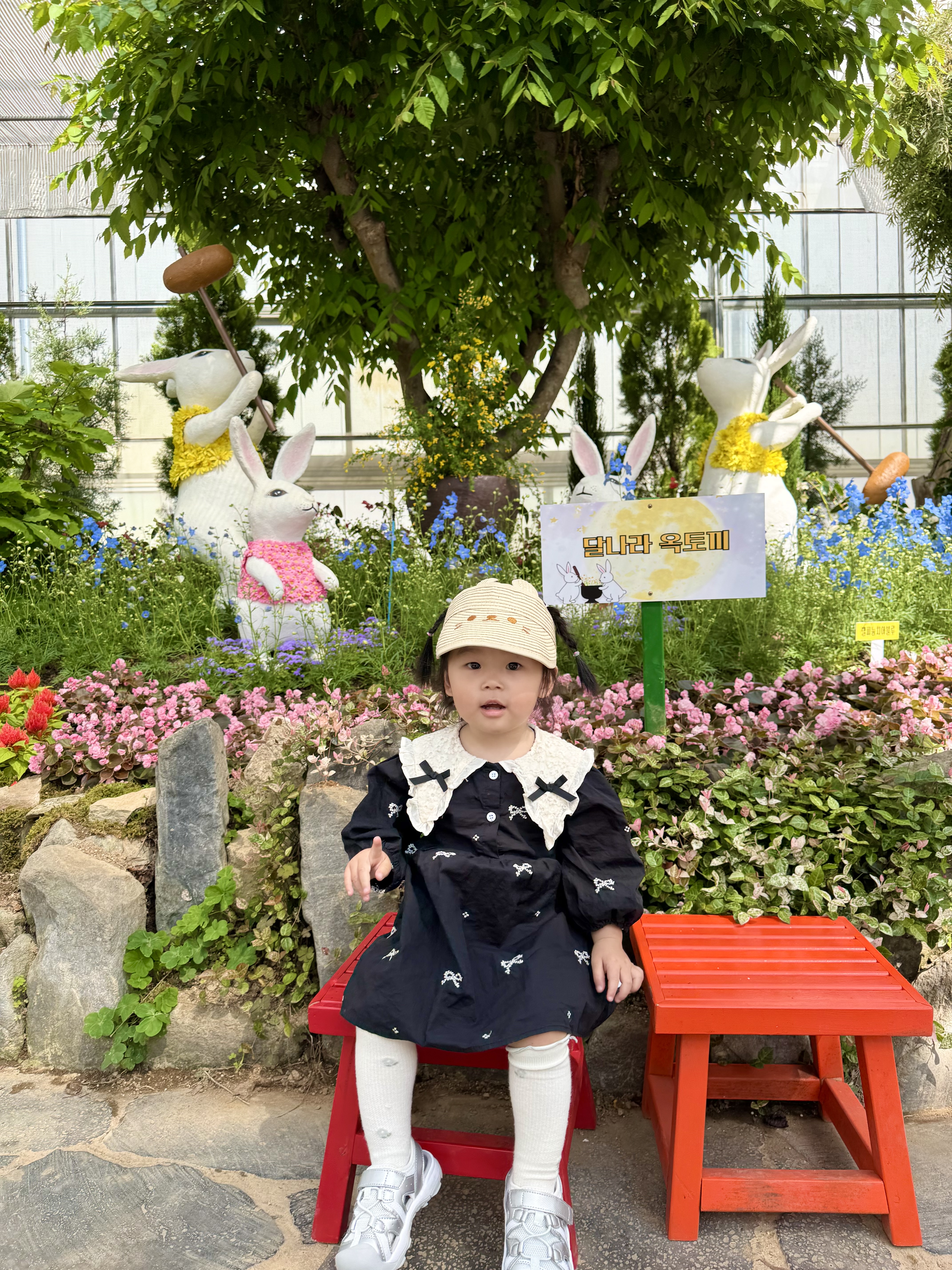 21개월 인생 2회차 방문 중인 함평나비축제!<br>나비며 꽃이며 자연이 너무 아름다운 엑스포공원!<br>아기랑 오기 너무 좋아서 항상 오고 있답니다ღ