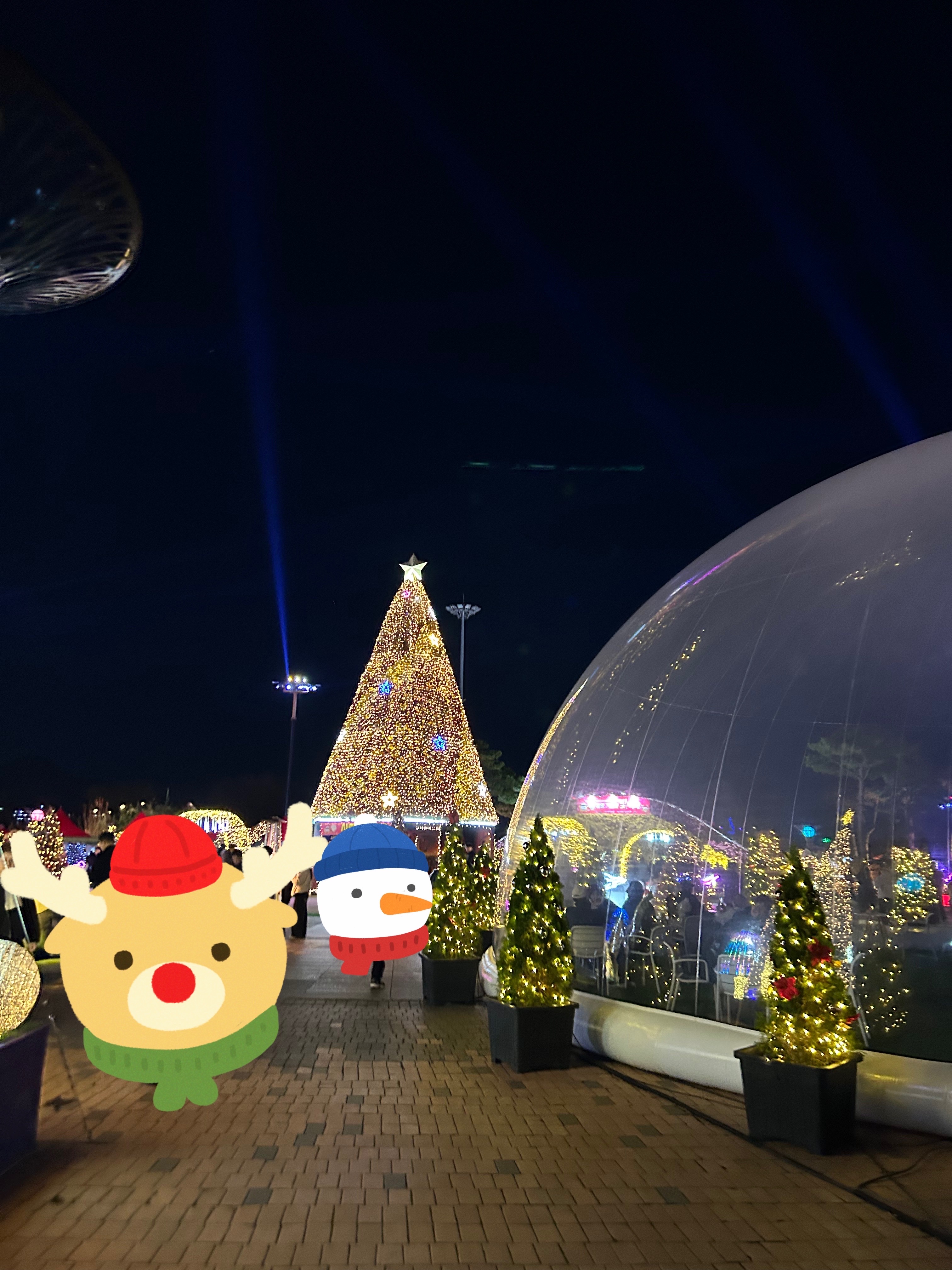 겨울밤을 수놓은 함평 빛축제!