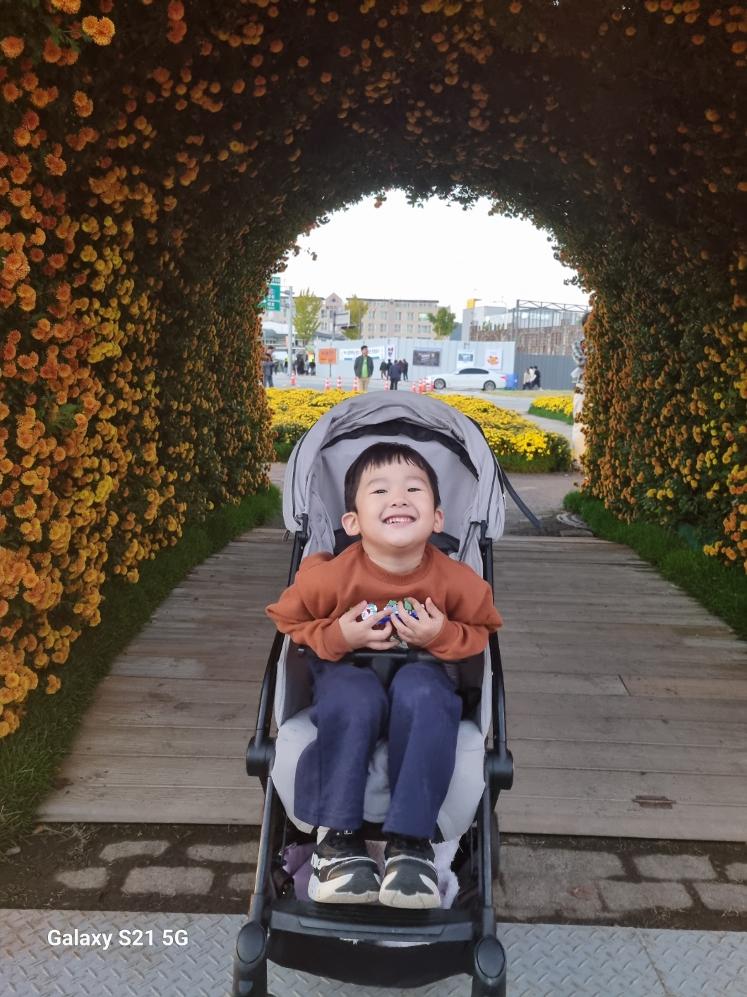 함평 국향 대전