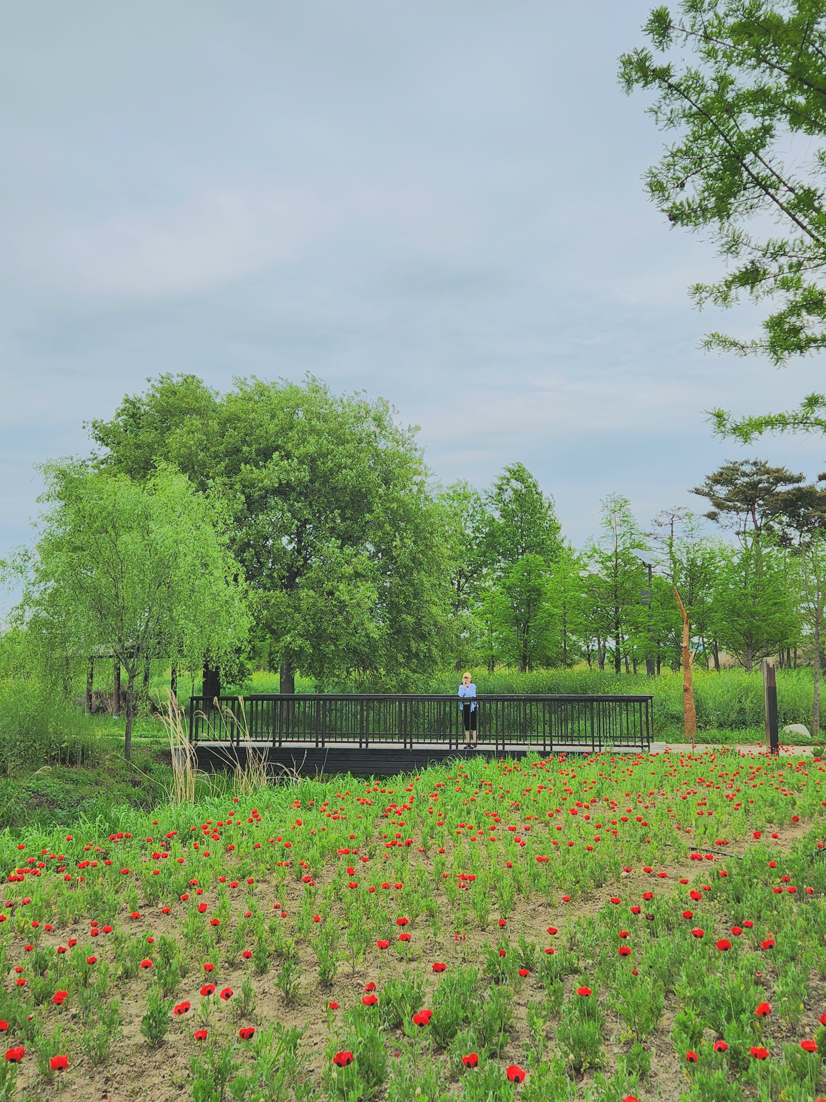 봄의 마지막은 함평에서
