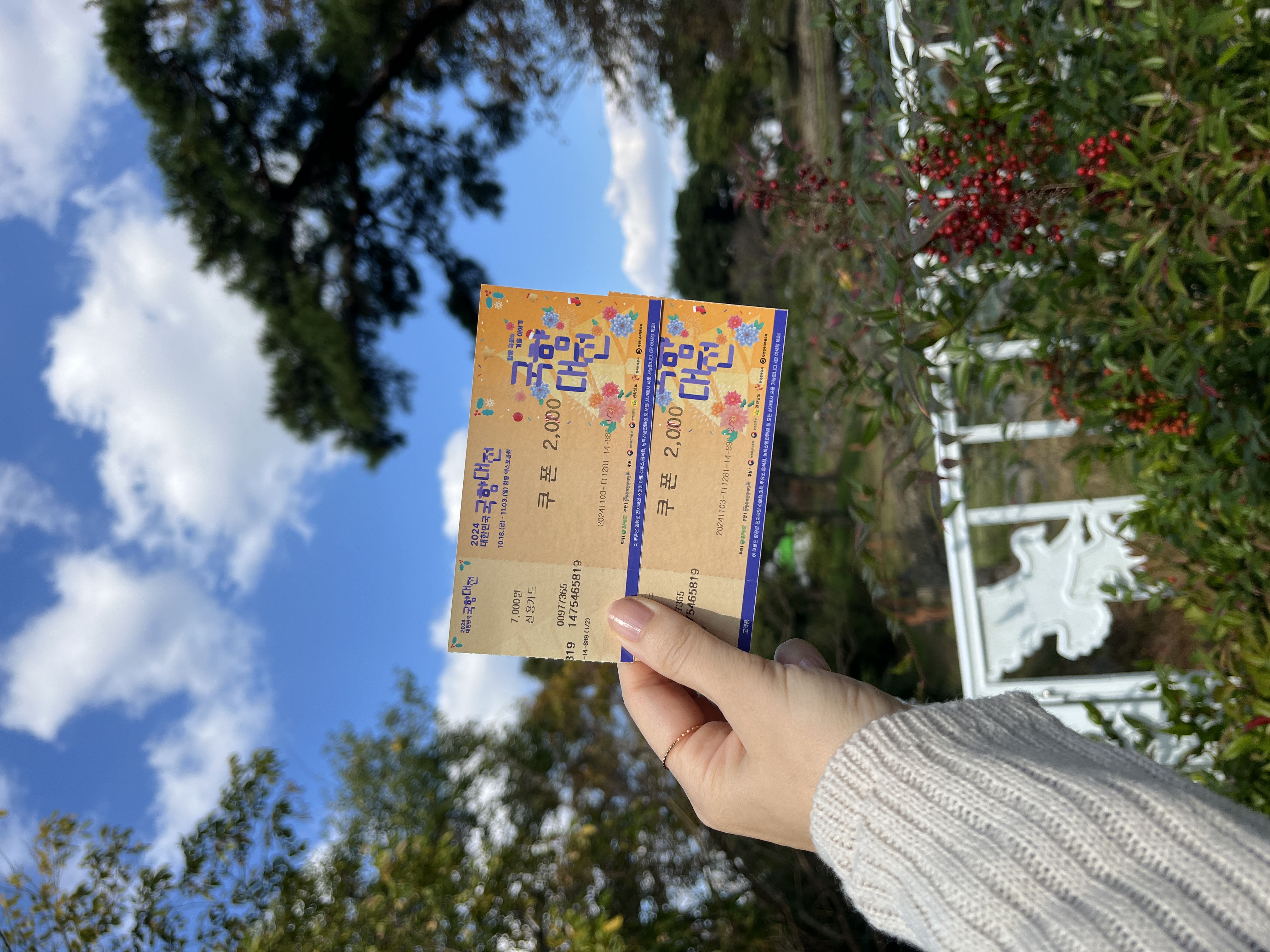 함평나들이(국향대전과 황금빛 노을)