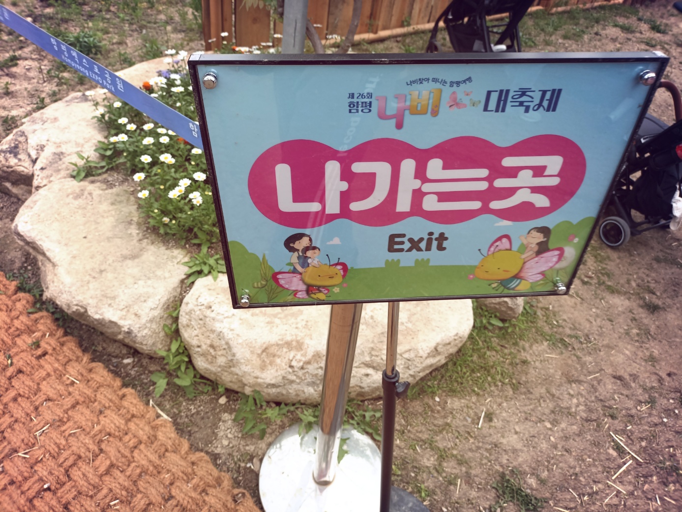 함평의 나비축제에도 봄이한가득