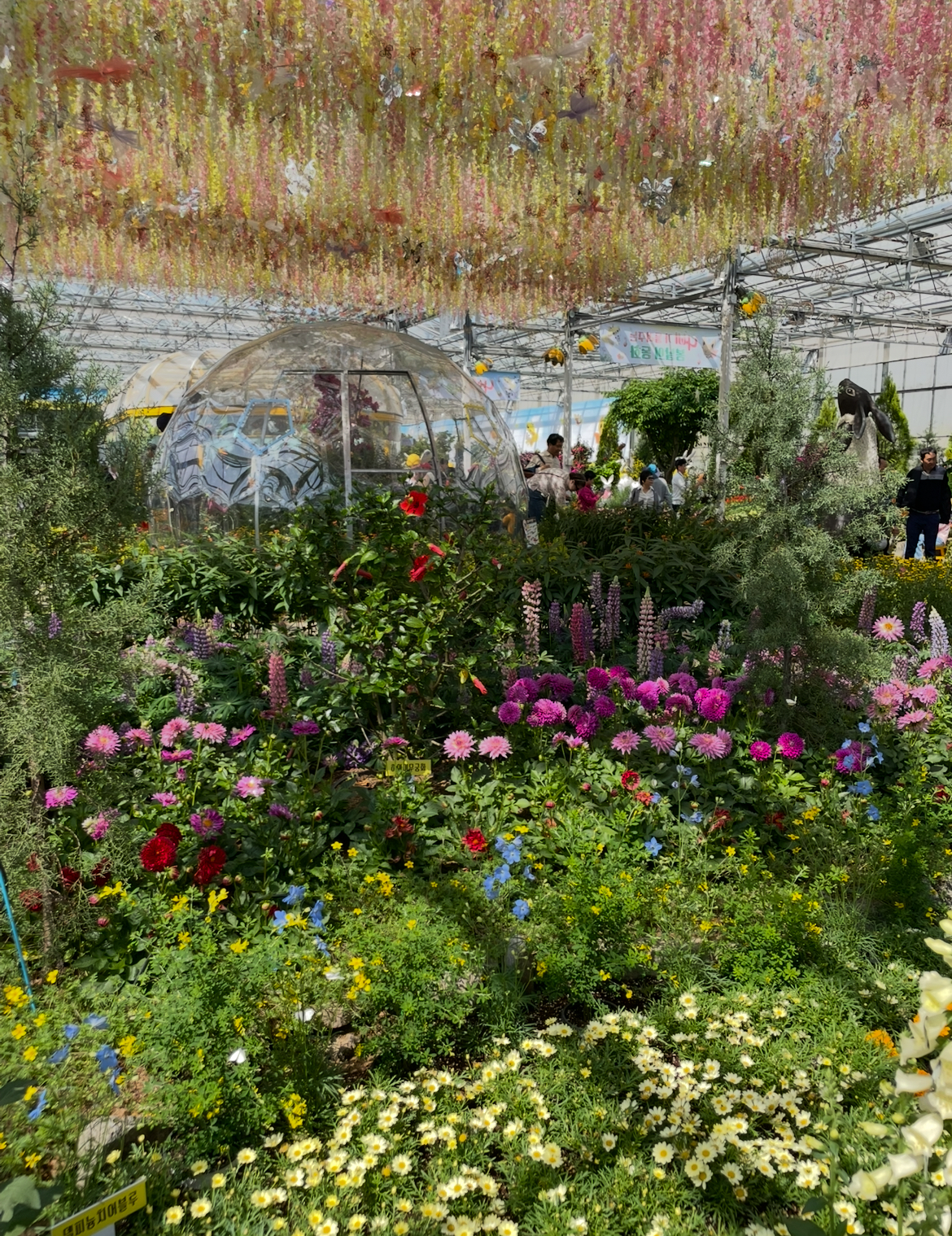 함평 나비대축제 대만족! 즐거운 함평 여행 했습니다~~