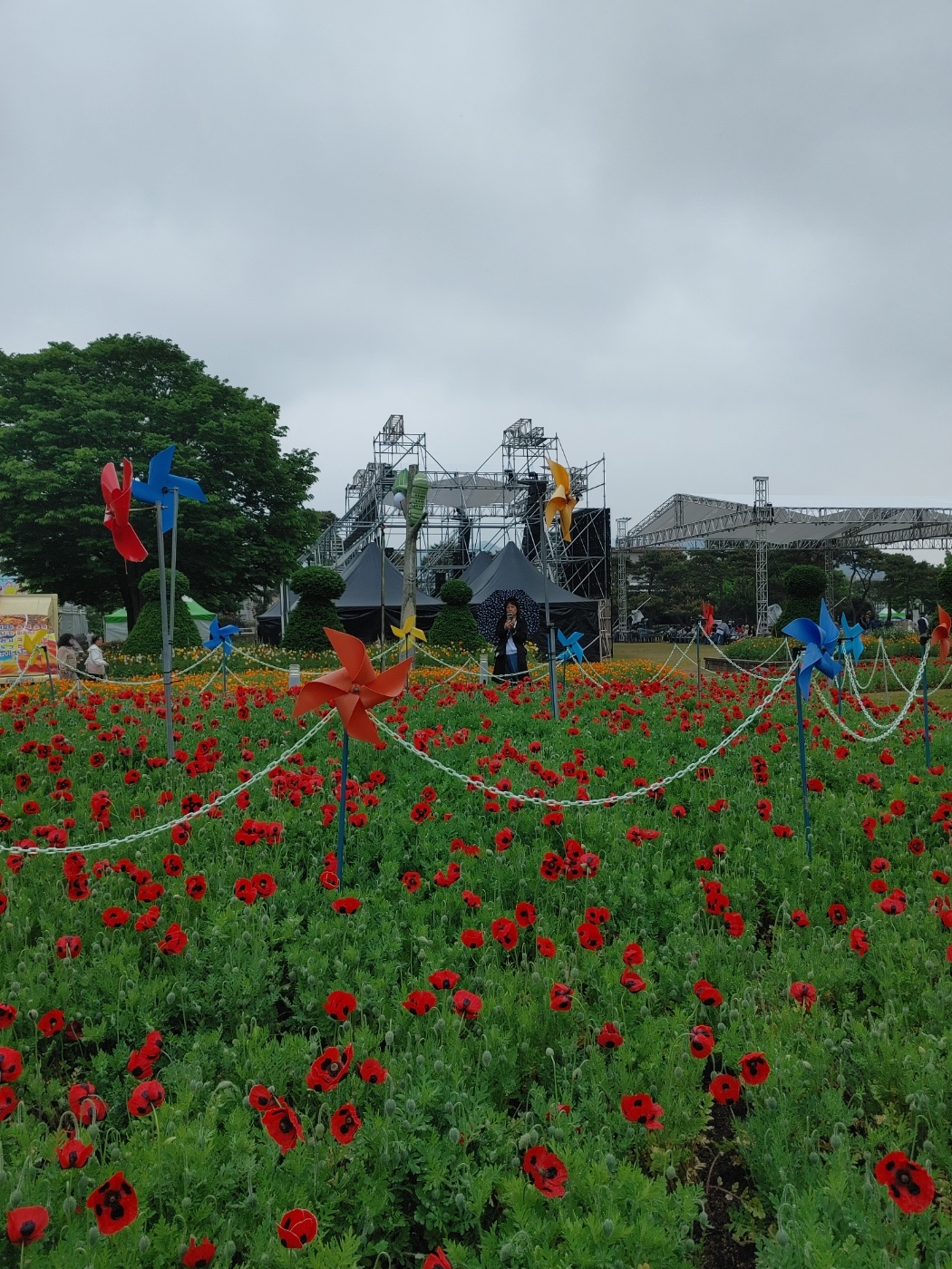 함평에 가 봄! 봄을 느껴 봄!