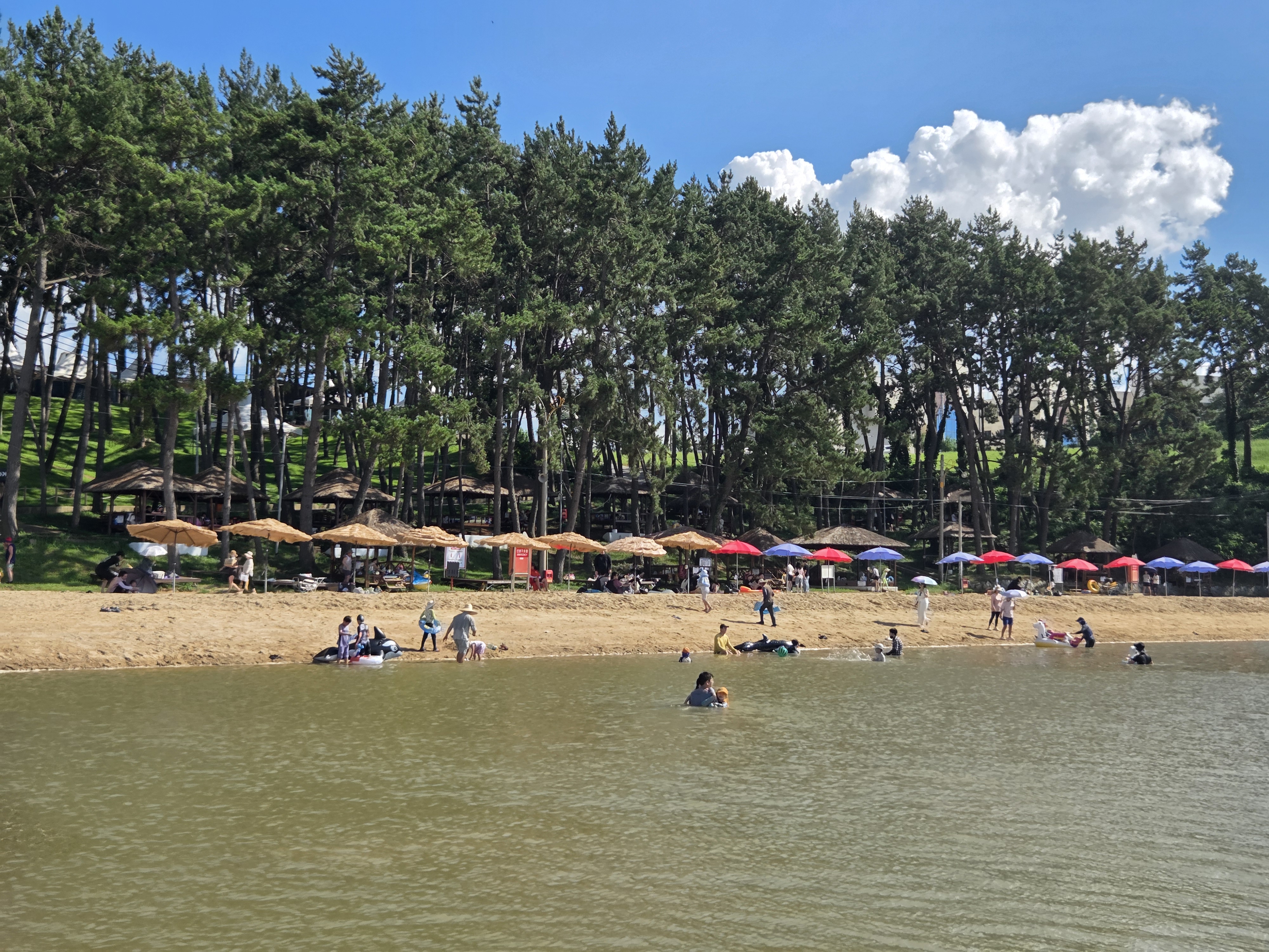 화끈하고 평화로운 함평의 여름