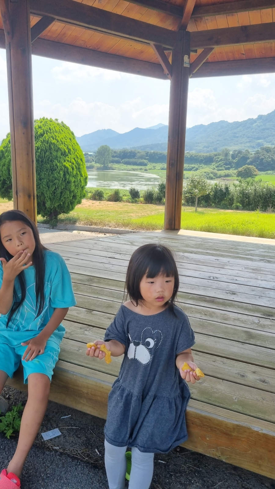 함평 용월리 지석묘군 팔열부정각 예덕리 고분군