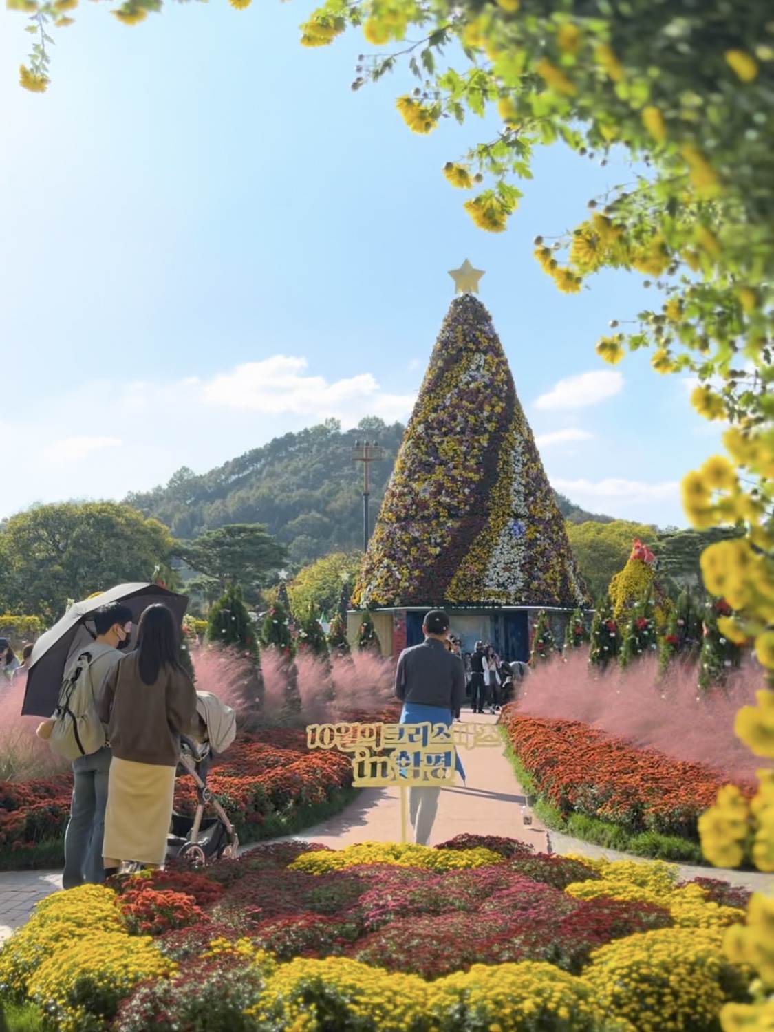함평나들이(국향대전과 황금빛 노을)