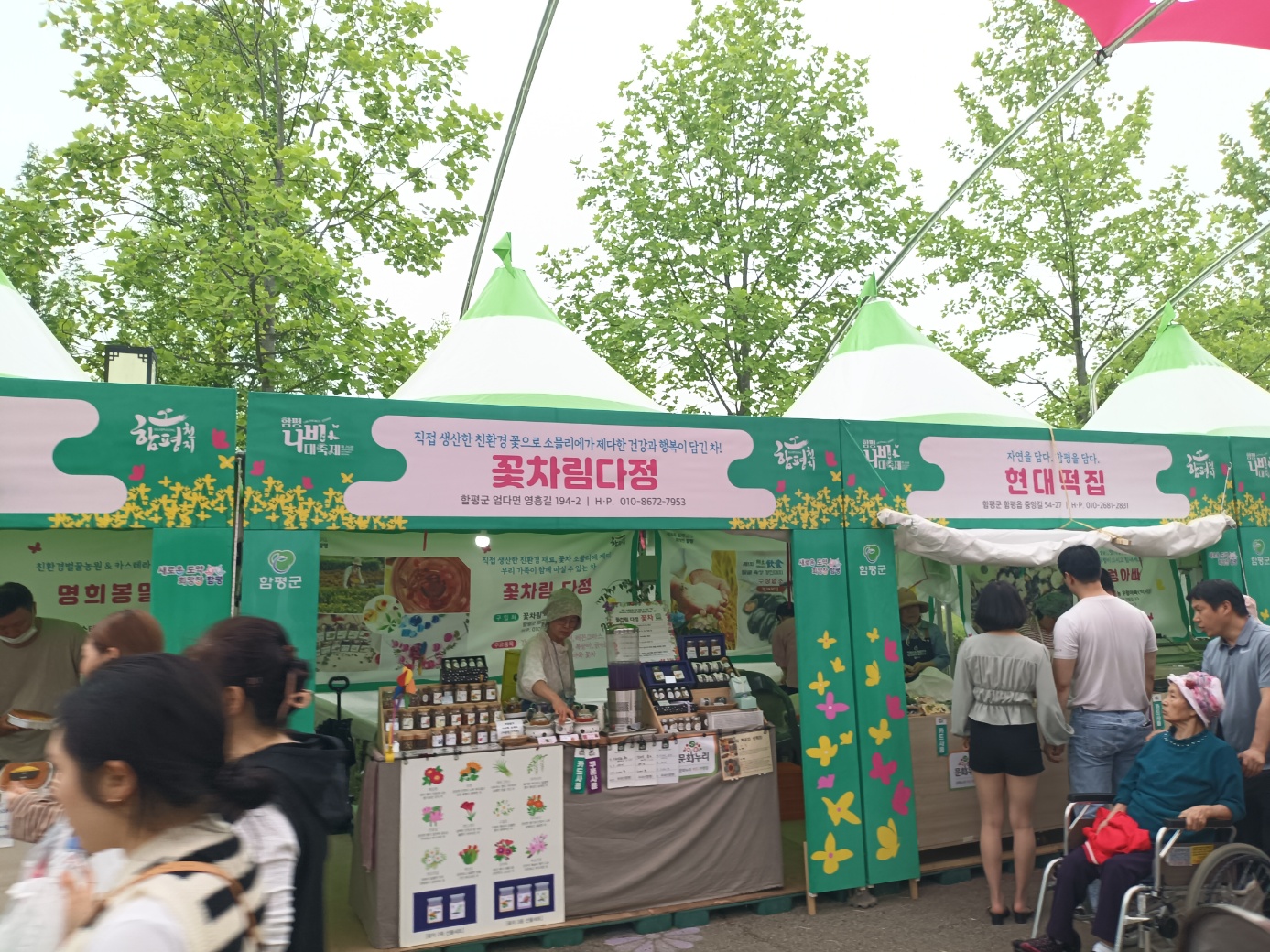 행복의나라로 봄꽃가득한 함평으로