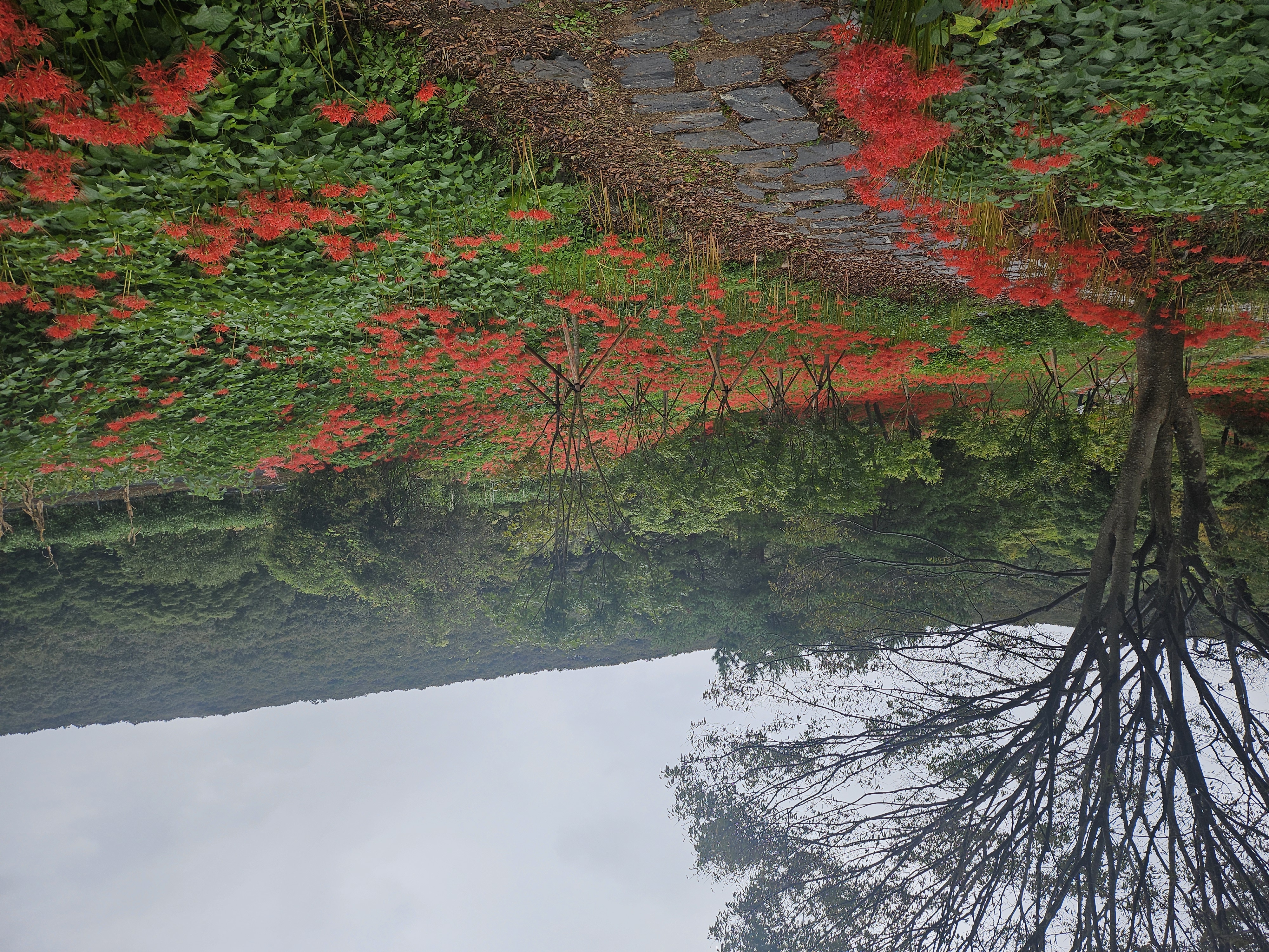 맛을 찾아 떠난 함평에서의 7박 8일