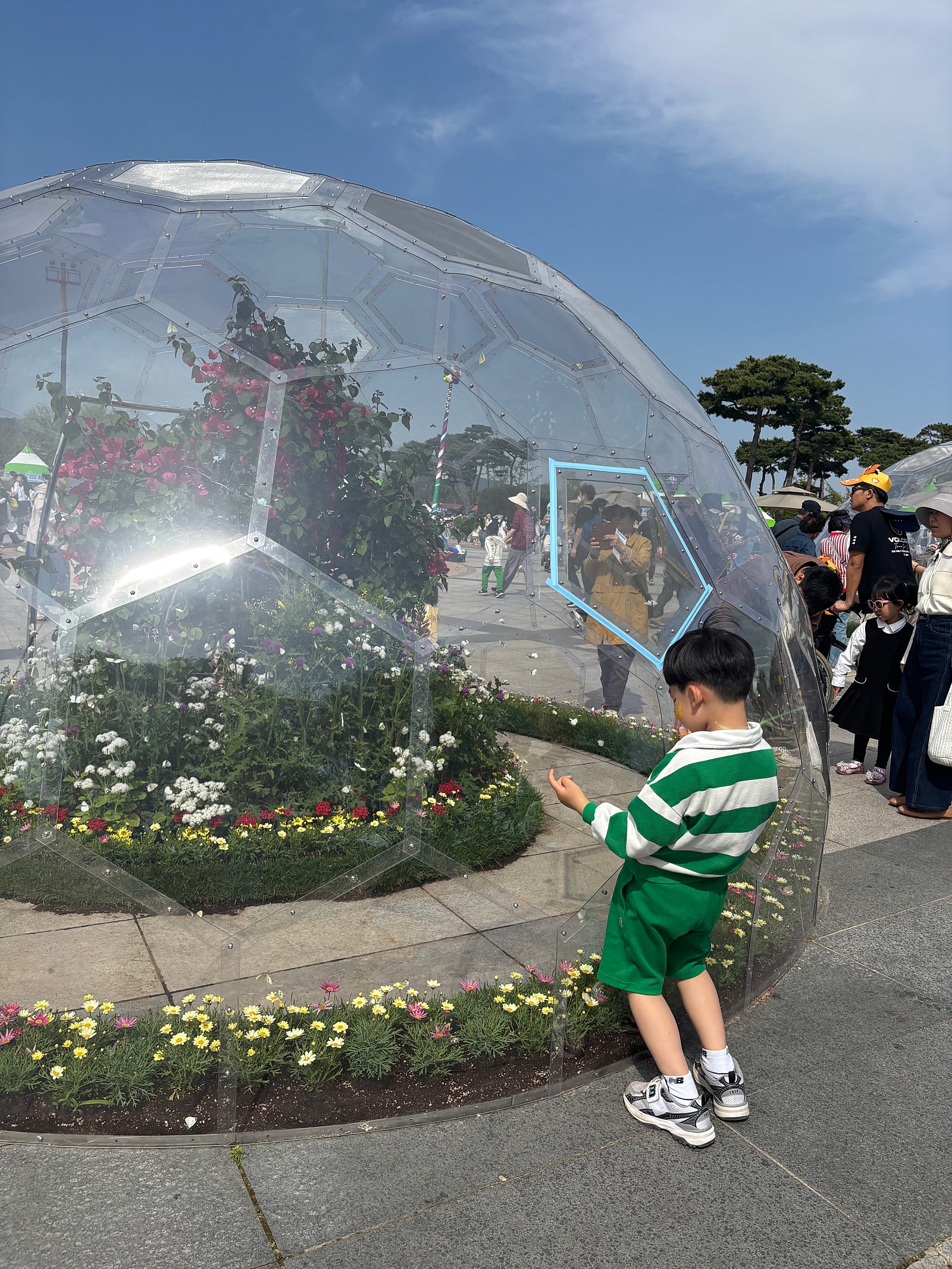 월컴 투 함평... 처음으로 나비 대축제를 다녀왔어요!