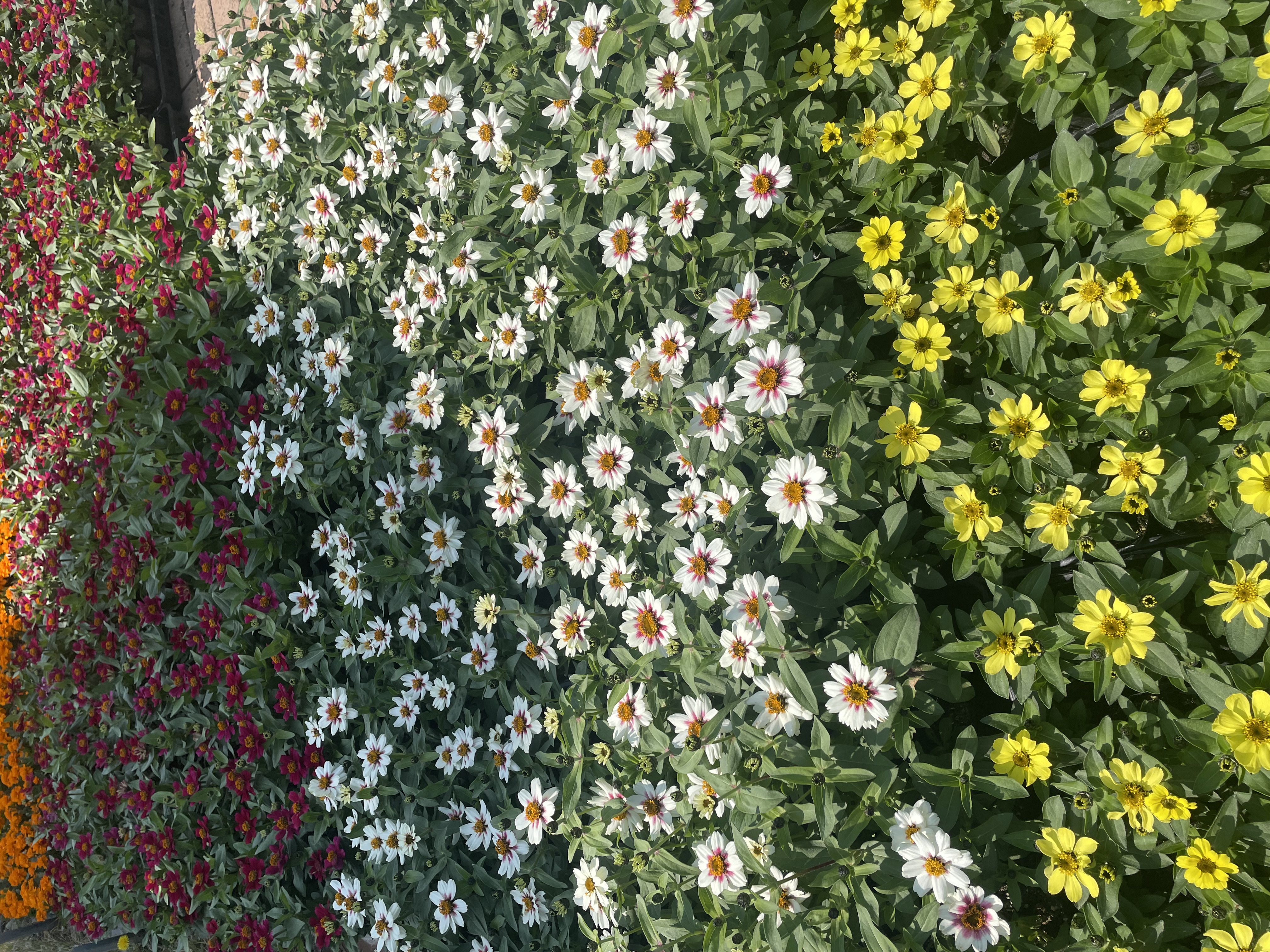 봄봄함평 관광후기이벤트!🐝