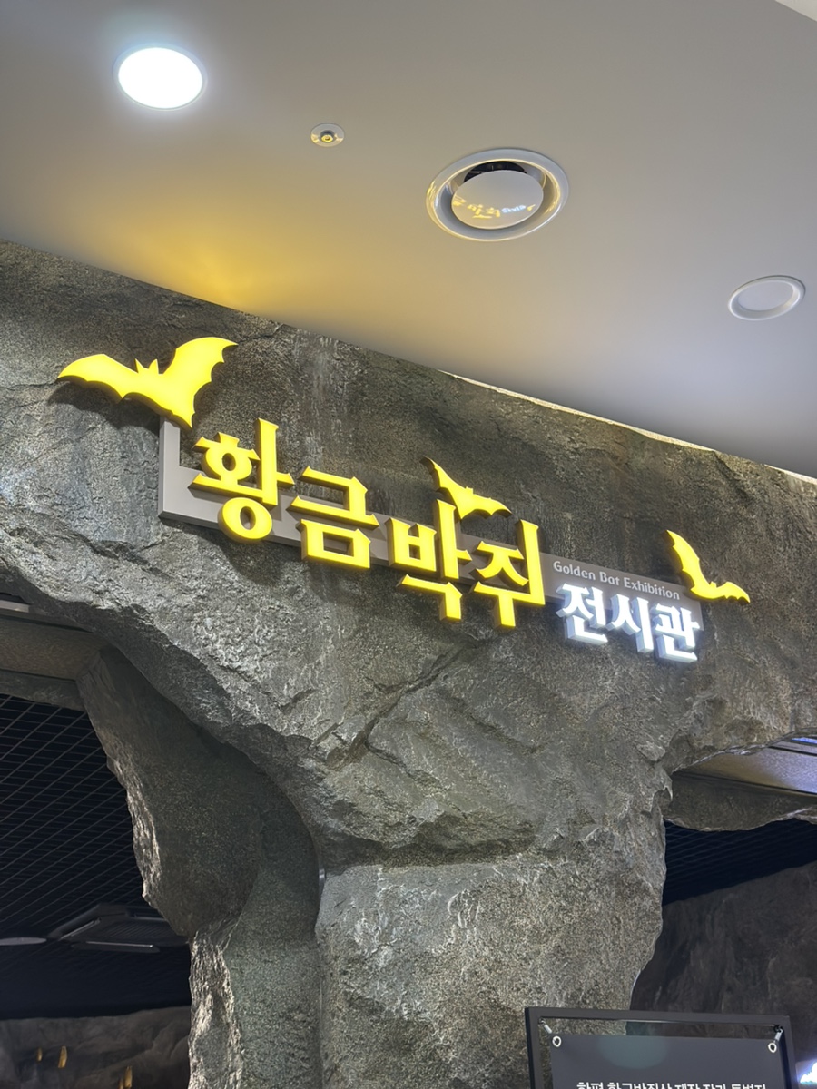 2025년 함평나비축제 황금박쥐!!