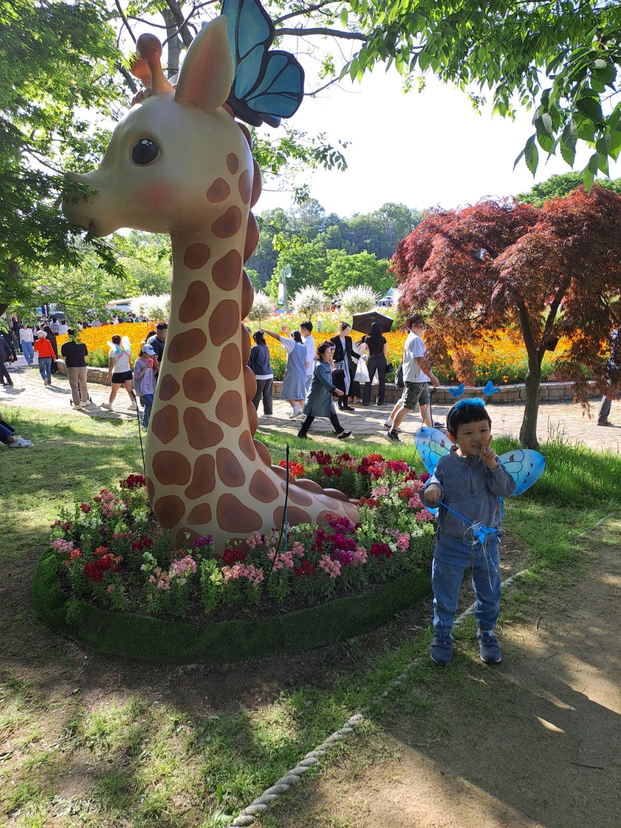 함평 나비 대축제 아들과 즐거운 나들이였어요~^^
