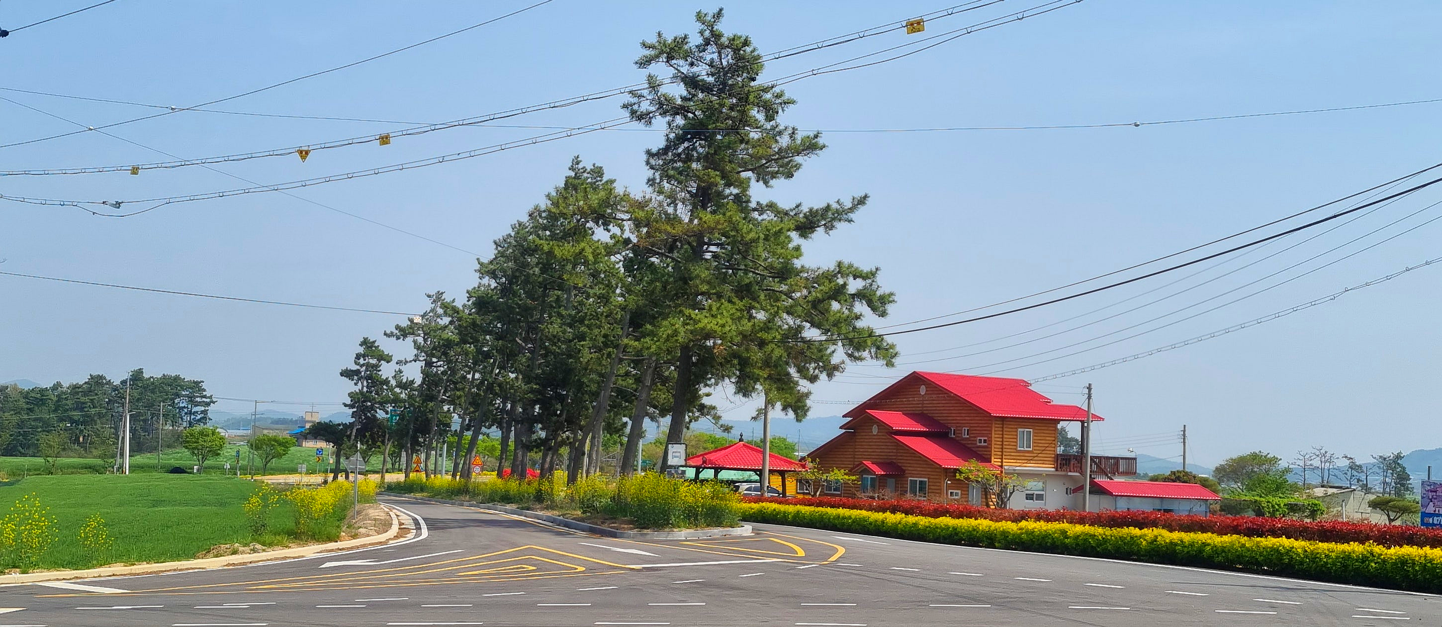 참 평온한 함평 봄여행