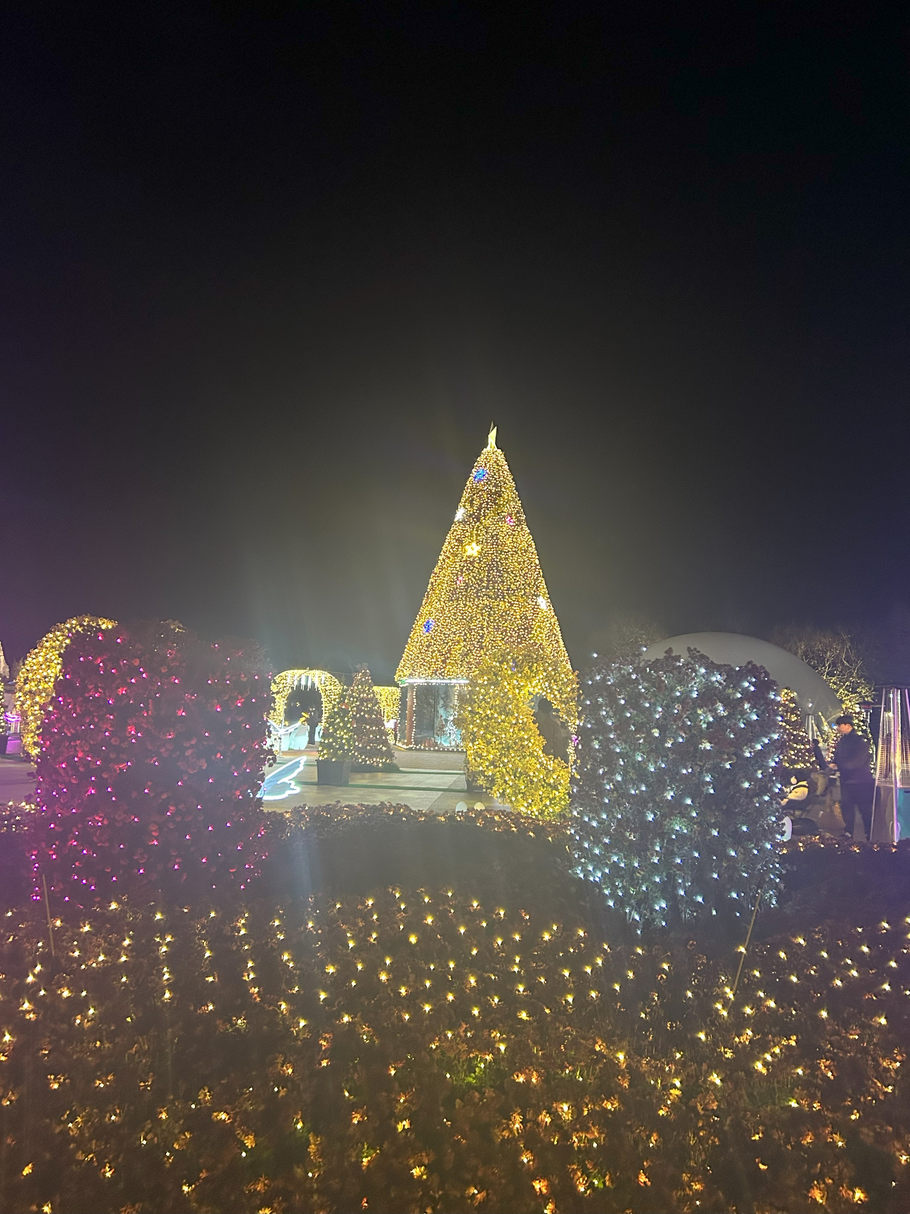 함평 빛축제 방문 후기