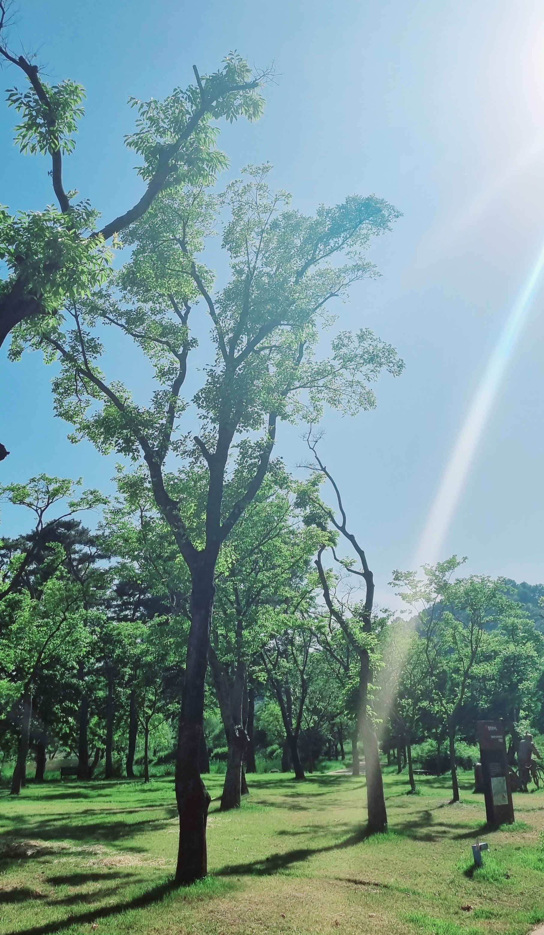 사계절이 좋은 함평엑스포공원
